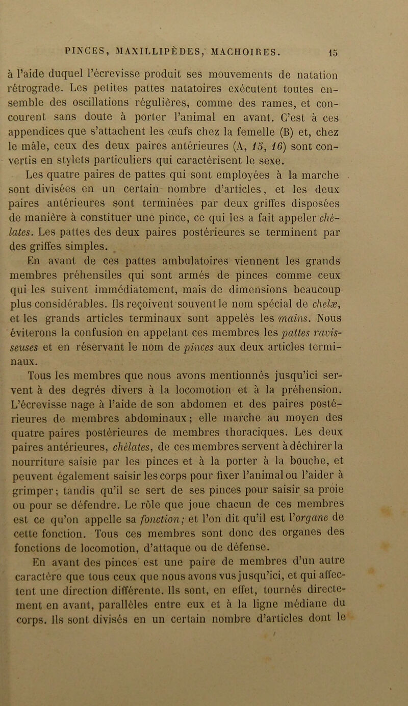 a l’aide duquel l’ecrevisse produit ses mouvements de natation retrograde. Les petites pattes natatoires executent toutes en- semble des oscillations regulieres, comme des rames, et con- courent sans doute a porter Panimal en avant. C’est a ces appendices que s’attachent les oeufs chez la femelle (B) et, chez le male, ceux des deux paires anterieures (A, 15, 16) sont con- vertis en stylets particuliers qui caracterisent le sexe. Les quatre paires de pattes qui sont employees a la marche sont divisees en un certain nombre cl’articles, et les deux paires anterieures sont terminees par deux grides disposees de maniere a constituer une pince, ce qui les a fait appeler che- lates. Les pattes des deux paires posterieures se terminent par des griffes simples. En avant de ces pattes ambulatoires viennent les grands membres prehensiles qui sont armes de pinces comme ceux qui les suivent immediatement, mais de dimensions beaucoup plus considerables. Ils regoivent souventle nom special de chelae, et les grands articles terminaux sont appeles les mains. Nous eviterons la confusion en appelant ces membres les pattes ravis- seuses et en reservant le nom de pinces aux deux articles termi- naux. Tous les membres que nous avons mentionnes jusqu’ici ser- vent a des degres divers a la locomotion et a la prehension. L’ecrevisse nage a l’aide de son abdomen et des paires poste- rieures de membres abdominaux; elle marche au moyen des quatre paires posterieures de membres thoraciques. Les deux paires anterieures, chelates, de ces membres servent a dechirer la nourriture saisie par les pinces et a la porter a la bouche, et peuvent egalement saisir les corps pour fixer Panimal ou l’aider a grimper; tandis qu’il se sert de ses pinces pour saisir sa proie ou pour se defendre. Le role que joue chacun de ces membres est ce qu’on appelle sa fonction; et l’on dit qu’il est Yorgane de cette fonction. Tous ces membres sont done des organes des fonctions de locomotion, d’attaque ou de defense. En avant des pinces est une paire de membres d’un autre caractere que tous ceux que nous avons vus jusqu’ici, et qui allec- tent une direction differente. Ils sont, en effet, tournes directe- ment en avant, paralleles entre cux et a la ligne mediane du corps. Ils sont divises en un certain nombre d’articles dont le