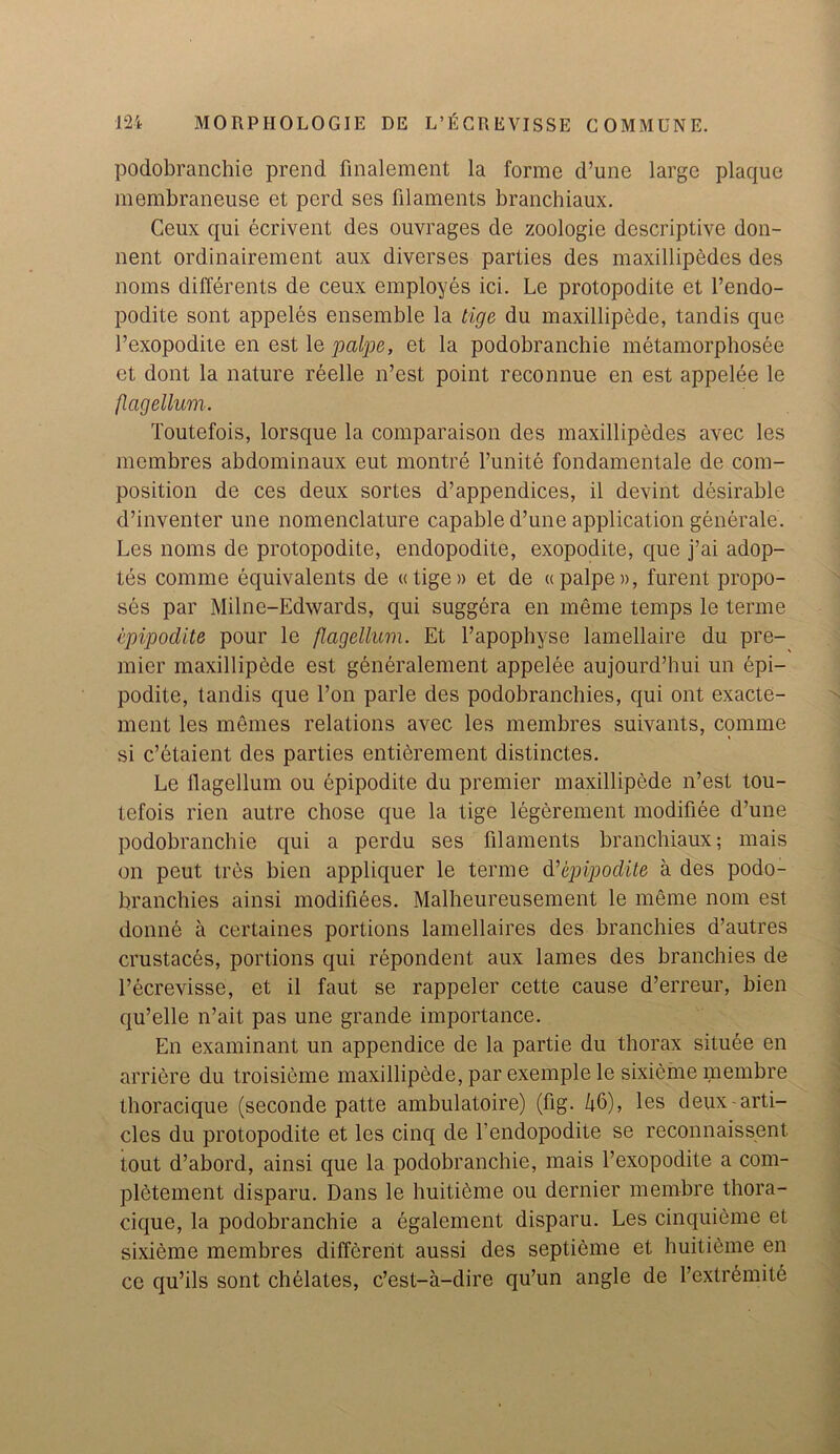 podobranchie prend finalement la forme d’une large plaque membraneuse et perd ses filaments branchiaux. Ceux qui ecrivent des ouvrages de zoologie descriptive don- nent ordinairement aux diverses parties des maxillipedes des noms differents de ceux employes ici. Le protopodite et l’endo- podite sont appeles ensemble la tige du maxillipede, tandis que l’exopodite en est le palpe, et la podobranchie metamorphosee et dont la nature reelle n’est point reconnue en est appelee le flagellum. Toutefois, lorsque la comparaison des maxillipedes avec les membres abdominaux eut montre l’unite fondamentale de com- position de ces deux sortes d’appendices, il devint desirable d’inventer une nomenclature capable d’une application generate. Les noms de protopodite, endopodite, exopodite, que j’ai adop- ters comme equivalents de «tige» et de « palpe », furent propo- ses par Milne-Edwards, qui suggera en meme temps le terme epipodite pour le flagellum. Et l’apophyse lamellaire du pre- mier maxillipede est generalement appelee aujourd’hui un epi- podite, tandis que l’on parle des podobranchies, qui ont exacte- ment les memes relations avec les membres suivants, comme si c’etaient des parties entierement distinctes. Le llagellum ou epipodite du premier maxillipede n’est tou- tefois rien autre chose que la tige legerement modifiee d’une podobranchie qui a perdu ses filaments branchiaux; mais on peut tres bien appliquer le terme d’epipoclite a des podo- branchies ainsi modifiees. Malheureusement le meme nom est donne a certaines portions lamellaires des branchies d’autres crustaces, portions qui repondent aux lames des branchies de l’ecrevisse, et il faut se rappeler cette cause d’erreur, bien qu’elle n’ait pas une grande importance. En examinant un appendice de la partie du thorax situee en arriere du troisieme maxillipede, par exemplele sixieme membre thoracique (seconde patte ambulatoire) (fig. Zj.6), les deux-arti- cles du protopodite et les cinq de l’endopodite se reconnaissent. tout d’abord, ainsi que la podobranchie, mais l’exopodite a com- pletement disparu. Dans le huitidme ou dernier membre thora- cique, la podobranchie a egalement disparu. Les cinquieme et sixieme membres different aussi des septieme et huitieme en ce qu’ils sont chblates, c’est-a-dire qu’un angle de l’extremitd