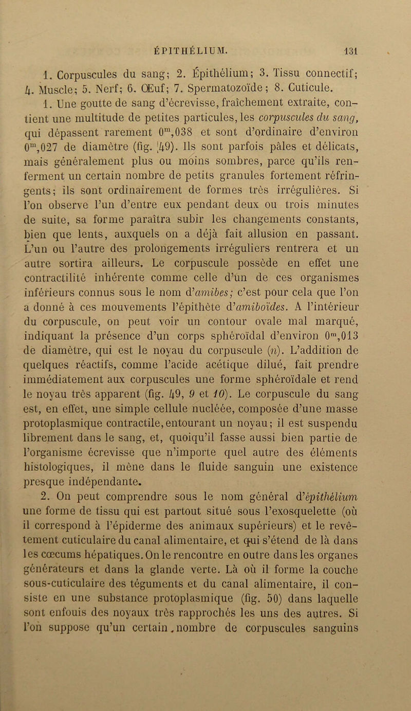 1. Corpuscules du sang; 2. Epithelium; 3. Tissu connectif; 4. Muscle; 5. Nerf; 6. OEuf; 7. Spermatozoide; 8. Cuticule. 1. Une goutte de sang d’ecrevisse, fraichement extraite, con- tient une multitude de petites particules, les corpuscules du sang, qui depassent rarement 0m,038 et sont d’ordinaire d’environ 0m,027 de diametre (fig. [49). 11s sont parfois pales et delicats, mais generalement plus ou moins sombres, parce qu’ils ren- ferment un certain nombre de petits granules fortement refrin- gents; ils sont ordinairement de formes tres irregulieres. Si l’on observe l’un d’entre eux pendant deux ou trois minutes de suite, sa forme paraitra subir les changements constants, bien que lents, auxquels on a deja fait allusion en passant. L’un ou l’autre des prolongements irreguliers rentrera et un autre sortira ailleurs. Le corpuscule possede en effet une contractilite inberente comme celle d’un de ces organismes inferieurs connus sous le nom d'amibes; c’est pour cela que Ton a donne a ces mouvements l’epithete d’amiboides. A l’interieur du corpuscule, on peut voir un contour ovale mal marque, indiquant la presence d’un corps spheroidal d’environ 0m,013 de diametre, qui est le noyau du corpuscule (n). L’addition de quelques reactifs, comme l’acide acetique dilue, fait prendre immediatement aux corpuscules une forme spheroidale et rend le noyau tres apparent (fig. 49, 9 et iO). Le corpuscule du sang est, en effet, une simple cellule nucleee, composee d’une masse protoplasmique contractile,entourant un noyau; il est suspendu librement dans le sang, et, quoiqu’il fasse aussi bien partie de l’organisme ecrevisse que n’importe quel autre des elements histologiques, il mene dans le lluide sanguin une existence presque independante. 2. On peut comprendre sous le nom general d’epithelium une forme de tissu qui est partout situe sous l’exosquelette (ou il correspond a l’epiderme des animaux superieurs) et le reve- tement cuticulaire du canal alimentaire, et qui s’etend de la dans les ccecums hepatiques. On le rencontre en outre dans les organes generateurs et dans la glande verte. La oil il forme la couche sous-cuticulaire des teguments et du canal alimentaire, il con- siste en une substance protoplasmique (fig. 50) dans laquelle sont enfouis des noyaux triss rapproches les uns des autres. Si l’on suppose qu’un certain. nombre de corpuscules sanguins