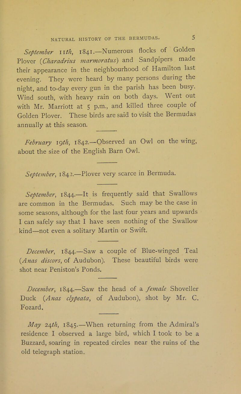 September iith, 1841.—Numerous flocks of Golden Plover {jCharadrius niarmorcitus) and Sandpipers made their appearance in the neighbourhood of Hamilton last evening. They were heard by many persons during the night, and to-day every gun in the parish has been busy. Wind south, with heavy rain on both days. Went out with Mr. Marriott at 5 p.m-j s-^d killed three couple of Golden Plover. These birds are said to visit the Bermudas annually at this season. February \gth, 1842.—Observed an Owl on the wing, about the size of the English Barn Owl. September, 1842.—Plover very scarce in Bermuda. September, 1844.—It is frequently said that Swallows are common in the Bermudas. Such may be the case in some seasons, although for the last four years and upwards I can safely say that I have seen nothing of the Swallow kind—not even a solitary Martin or Swift. December, 1844.—Saw a couple of Blue-winged Teal {^Anas discors, of Audubon). These beautiful birds were shot near Peniston’s Ponds. December, 1844.—Saw the head of a female Shoveller Duck {Anas clypeata, of Audubon), shot by Mr. C. Fozard. May 2/^th, 1845.—When returning from the Admiral’s residence I observed a large bird, which I took to be a Buzzard, soaring in repeated circles near the ruins of the old telegraph station.