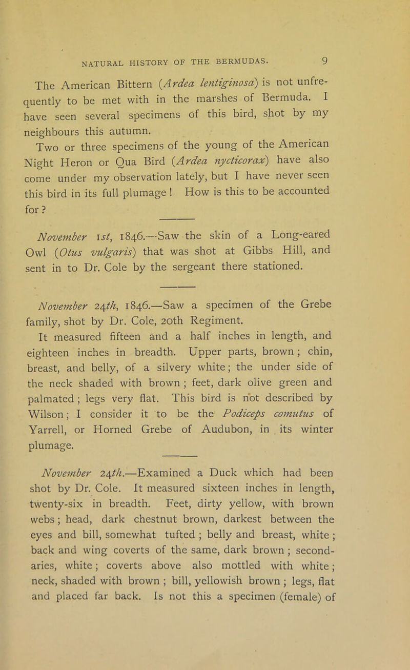 The American Bittern {Ardea lentiginosd) is not unfre- quently to be met with in the marshes of Bermuda. I have seen several specimens of this bird, shot by my neighbours this autumn. Two or three specimens of the young of the American Night Heron or Qua Bird (Ardea nycticorax) have also come under my observation lately, but I have never seen this bird in its full plumage ! How is this to be accounted for? November \st, 1846.—Saw the skin of a Long-eared Owl {Otus vulgaris) that was shot at Gibbs Hill, and sent in to Dr. Cole by the sergeant there stationed. November 2Agh, 1846.—Saw a specimen of the Grebe family, shot by Dr. Cole, 20th Regiment. It measured fifteen and a half inches in length, and eighteen inches in breadth. Upper parts, brown; chin, breast, and belly, of a silvery white; the under side of the neck shaded with brown ; feet, dark olive green and palmated ; legs very flat. This bird is not described by Wilson; I consider it to be the Podiceps comutus of Yarrell, or Horned Grebe of Audubon, in its winter plumage. November 2\th.—Examined a Duck which had been shot by Dr. Cole. It measured sixteen inches in length, twenty-six in breadth. Feet, dirty yellow, with brown webs; head, dark chestnut brown, darkest between the eyes and bill, somewhat tufted ; belly and breast, white ; back and wing coverts of the same, dark brown ; second- aries, white; coverts above also mottled with white; neck, shaded with brown ; bill, yellowish brown ; legs, flat and placed far back, is not this a specimen (female) of