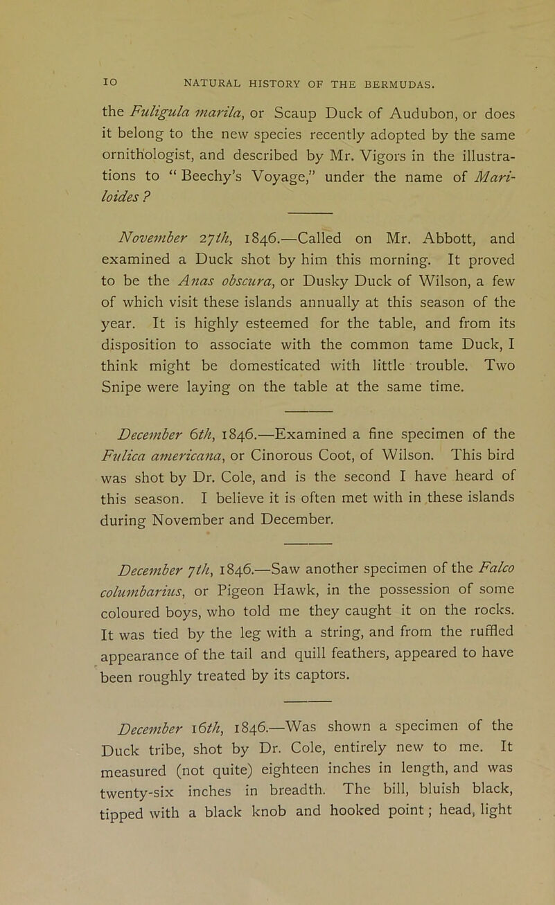 the Fuligula marila, or Scaup Duck of Audubon, or does it belong to the new species recently adopted by the same ornithologist, and described by Mr. Vigors in the illustra- tions to “ Beechy’s Voyage,” under the name of Mari- loides ? November 2’]th, 1846.—Called on Mr. Abbott, and examined a Duck shot by him this morning. It proved to be the Anas obscura, or Dusky Duck of Wilson, a few of which visit these islands annually at this season of the year. It is highly esteemed for the table, and from its disposition to associate with the common tame Duck, I think might be domesticated with little trouble. Two Snipe were laying on the table at the same time. December 6th, 1846.—Examined a fine specimen of the Fidica americana, or Cinorous Coot, of Wilson. This bird was shot by Dr. Cole, and is the second I have heard of this season. I believe it is often met with in these islands during November and December. December 7th, 1846.—Saw another specimen of the Falco columbarius, or Pigeon Hawk, in the possession of some coloured boys, who told me they caught it on the rocks. It was tied by the leg with a string, and from the ruffled appearance of the tail and quill feathers, appeared to have been roughly treated by its captors. December i6th, 1846.—Was shown a specimen of the Duck tribe, shot by Dr. Cole, entirely new to me. It measured (not quite) eighteen inches in length, and was twenty-six inches in breadth. The bill, bluish black, tipped with a black knob and hooked point; head, light