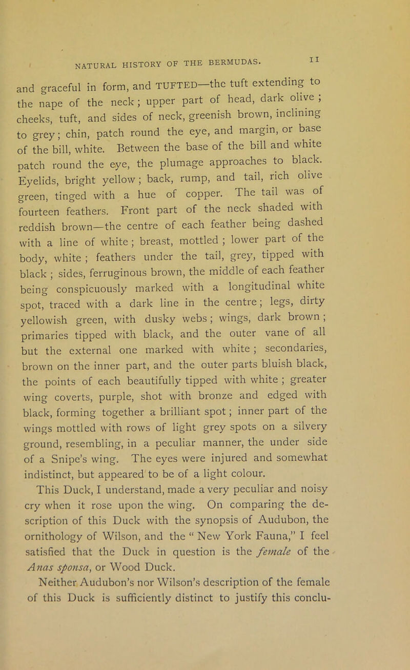 and graceful in form, and TUFTED—the tuft extending to the nape of the neck; upper part of head, dark olive ; cheeks, tuft, and sides of neck, greenish brown, inclining to grey; chin, patch round the eye, and margin, or base of the bill, white. Between the base of the bill and white patch round the eye, the plumage approaches to black. Eyelids, bright yellow; back, rump, and tail, rich olive green, tinged with a hue of copper. The tail was of fourteen feathers. Front part of the neck shaded with reddish brown—the centre of each feather being dashed with a line of white; breast, mottled ; lower part of the body, white ; feathers under the tail, grey, tipped with black ; sides, ferruginous brown, the middle of each feather being conspicuously marked with a longitudinal white spot, traced with a dark line in the centre; legs, dirty yellowish green, with dusky webs; wings, dark brown ; primaries tipped with black, and the outer vane of all but the external one marked with white ; secondaries, brown on the inner part, and the outer parts bluLsh black, the points of each beautifully tipped with white ; greater wing coverts, purple, shot with bronze and edged with black, forming together a brilliant spot; inner part of the wings mottled with rows of light grey spots on a silvery ground, resembling, in a peculiar manner, the under side of a Snipe’s wing. The eyes were injured and somewhat indistinct, but appeared to be of a light colour. This Duck, I understand, made a very peculiar and noisy cry when it rose upon the wing. On comparing the de- scription of this Duck with the synopsis of Audubon, the ornithology of Wilson, and the “ New York Fauna,” I feel satisfied that the Duck in question is the female of the Anas sponsa, or Wood Duck. Neither Audubon’s nor Wilson’s description of the female of this Duck is sufficiently distinct to justify this conclu-