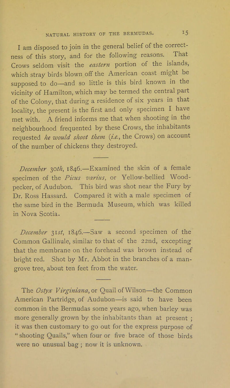 I am disposed to join in the general belief of the correct- ness of this story, and for the following reasons. That Crows seldom visit the easterji portion of the islands, which stray birds blown off the American coast might be supposed to do—and so little is this bird known in the vicinity of Hamilton, which may be termed the central part of the Colony, that during a residence of six years in that locality, the present is the first and only specimen I have met with. A friend informs me that when shooting in the neighbourhood frequented by these Crows, the inhabitants requested he would shoot them {i.e., the Crows) on account of the number of chickens they destroyed. December ^oth, 1846.—Examined the skin of a female specimen of the Picus vamis, or Yellow-bellied Wood- pecker, of Audubon. This bird was shot near the Fury by Dr. Ross Hassard. Compared it with a male specimen of the same bird in the Bermuda Museum, which was killed in Nova Scotia. December Z^st, 1846.—Saw a second specimen of the Common Gallinule, similar to that of the 22nd, excepting that the membrane on the forehead was brown instead of bright red. Shot by Mr. Abbot in the branches of a man- grove tree, about ten feet from the water. The Ostyx Virghiiana,ox Quail of Wilson—the Common American Partridge, of Audubon—is said to have been common in the Bermudas some years ago, when barley was more generally grown by the inhabitants than at present ; it was then customary to go out for the express purpose of “ shooting Quails,” when four or five brace of those birds were no unusual bag ; now it is unknown.