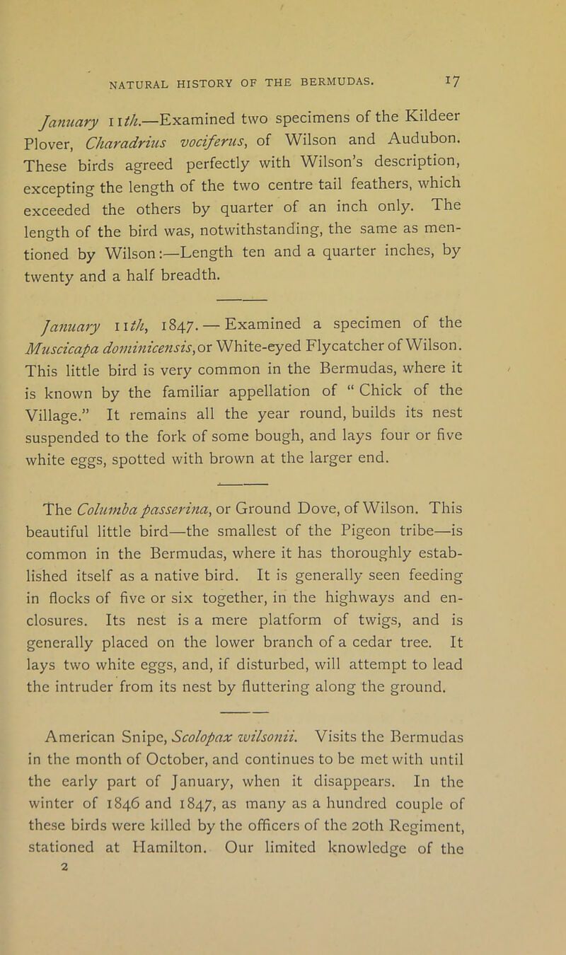 Jariuary i i//l—Examined two specimens of the Kildeer Plover, Charadrius vociferus, of Wilson and Audubon. These birds agreed perfectly with \Vilson s description, excepting the length of the two centre tail feathers, which exceeded the others by quarter of an inch only. The length of the bird was, notwithstanding, the same as men- tioned by Wilson;—Length ten and a quarter inches, by twenty and a half breadth. January nth, 1847. — Examined a specimen of the Muscicapa dominicensis,or White-eyed Flycatcher of Wilson. This little bird is very common in the Bermudas, where it is known by the familiar appellation of “ Chick of the Village.” It remains all the year round, builds its nest suspended to the fork of some bough, and lays four or five white eggs, spotted with brown at the larger end. The Columba passerina, or Ground Dove, of Wilson. This beautiful little bird—the smallest of the Pigeon tribe—is common in the Bermudas, where it has thoroughly estab- lished itself as a native bird. It is generally seen feeding in flocks of five or six together, in the highways and en- closures. Its nest is a mere platform of twigs, and is generally placed on the lower branch of a cedar tree. It lays two white eggs, and, if disturbed, will attempt to lead the intruder from its nest by fluttering along the ground. American Snipe, Scolopax zvilsonii. Visits the Bermudas in the month of October, and continues to be met with until the early part of January, when it disappears. In the winter of 1846 and 1847, as many as a hundred couple of these birds were killed by the officers of the 20th Regiment, stationed at Hamilton. Our limited knowledge of the 2