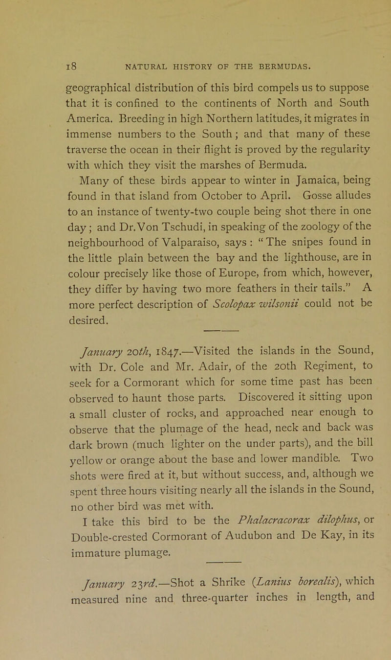 geographical distribution of this bird compels us to suppose that it is confined to the continents of North and South America. Breeding in high Northern latitudes, it migrates in immense numbers to the South; and that many of these traverse the ocean in their flight is proved by the regularity with which they visit the marshes of Bermuda. Many of these birds appear to winter in Jamaica, being found in that island from October to April. Gosse alludes to an instance of twenty-two couple being shot there in one day; and Dr. Von Tschudi, in speaking of the zoology of the neighbourhood of Valparaiso, says : “The snipes found in the little plain between the bay and the lighthouse, are in colour precisely like those of Europe, from which, however, they differ by having two more feathers in their tails.” A more perfect description of Scolopax wilsonii could not be desired. January 20th, 1847.—Visited the islands in the Sound, with Dr. Cole and Mr. Adair, of the 20th Regiment, to seek for a Cormorant which for some time past has been observed to haunt those parts. Discovered it sitting upon a small cluster of rocks, and approached near enough to observe that the plumage of the head, neck and back was dark brown (much lighter on the under parts), and the bill yellow or orange about the base and lower mandible. Two shots were fired at it, but without success, and, although we spent three hours visiting nearly all the islands in the Sound, no other bird was met with. I take this bird to be the Phalacracorax dilophus, or Double-crested Cormorant of Audubon and De Kay, in its immature plumage. January 2ird.—Shot a Shrike {Lanius borealis), which measured nine and three-quarter inches in length, and