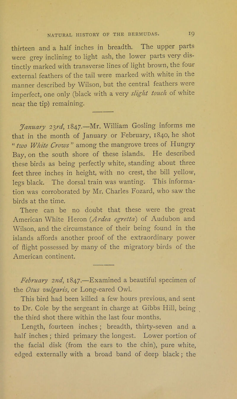 thirteen and a half inches in breadth. The upper parts were grey inclining to light ash, the lower parts very dis- tinctly marked with transverse lines of light brown, the four external feathers of the tail were marked with white in the manner described by Wilson, but the central feathers were imperfect, one only (black with a very slight touch of white near the tip) remaining. January 2ird, 1847.—Mr. William Gosling informs me that in the month of January or February, 1840, he shot ^'two White Crows among the mangrove trees of Hungry Bay, on the south shore of these islands. He described these birds as being perfectly white, standing about three feet three inches in height, with no crest, the bill yellow, legs black. The dorsal train was wanting. This informa- tion was corroborated by Mr. Charles Fozard, who saw the birds at the time. There can be no doubt that these were the great American White Heron {Ardea egretta) of Audubon and Wilson, and the circumstance of their being found in the islands affords another proof of the extraordinary power of flight possessed by many of the migratory birds of the American continent. February 2nd, 1847.—Examined a beautiful specimen of the Otus vulgaris, or Long-eared Owl. This bird had been killed a few hours previous, and sent to Dr. Cole by the sergeant in charge at Gibbs Hill, being the third shot there within the last four months. Length, fourteen inches ; breadth, thirty-seven and a half inches ; third primary the longest. Lower portion of the facial disk (from the ears to the chin), pure white, edged externally with a broad band of deep black; the