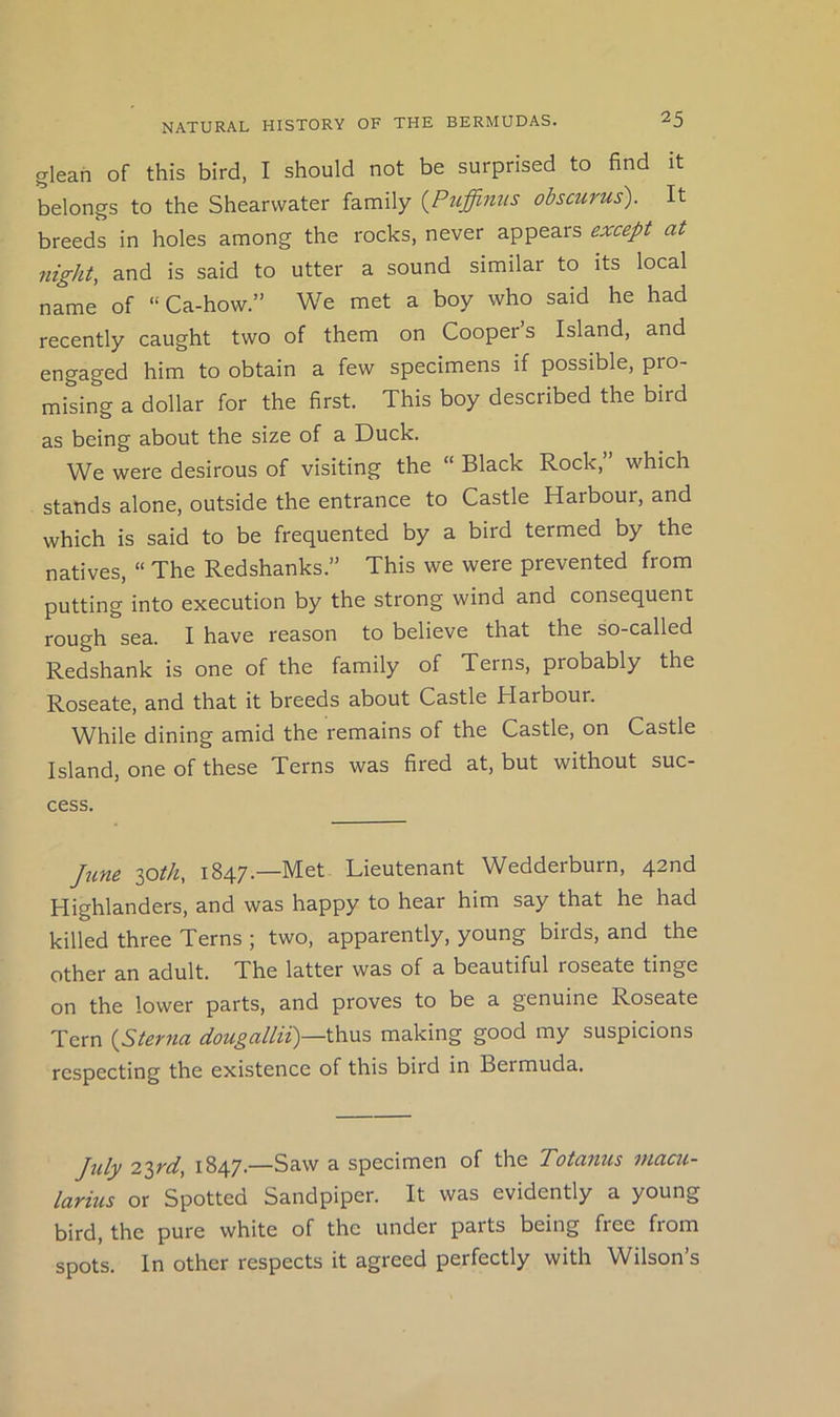 glean of this bird, I should not be surprised to find it belongs to the Shearwater family {Puffinus obscurus). It breeds in holes among the rocks, never appears except at night, and is said to utter a sound similar to its local name of “ Ca-how.” We met a boy who said he had recently caught two of them on Cooper s Island, and engaged him to obtain a few specimens if possible, pro- mising a dollar for the first. This boy described the bird as being about the size of a Duck. We were desirous of visiting the “ Black Rock,” which stands alone, outside the entrance to Castle Harbour, and which is said to be frequented by a bird termed by the natives, “ The Redshanks.” This we were prevented from putting into execution by the strong wind and consequent rough sea. I have reason to believe that the so-called Redshank is one of the family of Terns, probably the Roseate, and that it breeds about Castle Harbour. While dining amid the remains of the Castle, on Castle Island, one of these Terns was fired at, but without suc- cess. June loth, 1847.—Met Lieutenant Wedderburn, 42nd Highlanders, and was happy to hear him say that he had killed three Terns ; two, apparently, young birds, and the other an adult. The latter was of a beautiful roseate tinge on the lower parts, and proves to be a genuine Roseate Tern {Sterna dougallii)—thus making good my suspicions respecting the existence of this bird in Bermuda. July 2ird, 1847.—Saw a specimen of the Totanus macu- larius or Spotted Sandpiper. It was evidently a young bird, the pure white of the under parts being free from spots. In other respects it agreed perfectly with Wilson’s