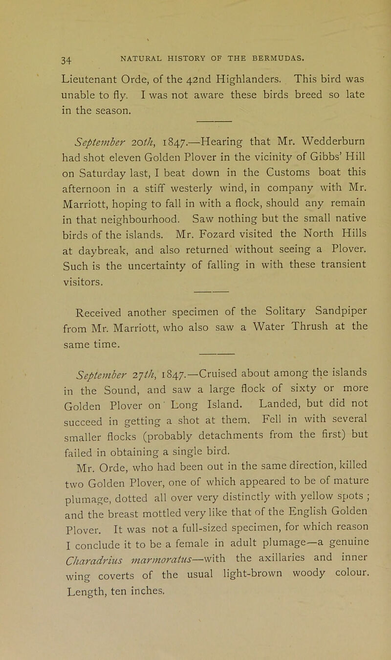 Lieutenant Orde, of the 42nd Highlanders. This bird was unable to fly. I was not aware these birds breed so late in the season. September 20th, 1847.—Hearing that Mr. Wedderburn had shot eleven Golden Plover in the vicinity of Gibbs’ Hill on Saturday last, I beat down in the Customs boat this afternoon in a stiff westerly wind, in company with Mr. Marriott, hoping to fall in with a flock, should any remain in that neighbourhood. Saw nothing but the small native birds of the islands. Mr. Fozard visited the North Hills at daybreak, and also returned without seeing a Plover. Such is the uncertainty of falling in with these transient visitors. Received another specimen of the Solitary Sandpiper from Mr. Marriott, who also saw a Water Thrush at the same time. September 27/A, 1847.—Cruised about among the islands in the Sound, and saw a large flock of sixty or more Golden Plover on' Long Island. Landed, but did not succeed in getting a shot at them. Fell in with several smaller flocks (probably detachments from the first) but failed in obtaining a single bird. Mr. Orde, who had been out in the same direction, killed two Golden Plover, one of which appeared to be of mature plumage, dotted all over very distinctly with yellow spots ; and the breast mottled very like that of the English Golden Plover. It was not a full-sized specimen, for which reason I conclude it to be a female in adult plumage—a genuine Chcircidrius marmorcitus—with the axillaries and inner wing coverts of the usual light-brown woody colour. Length, ten inches.