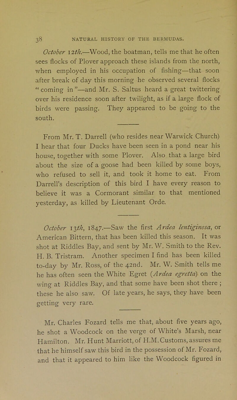 October \2th.—Wood, the boatman, tells me that he often sees flocks of Plover approach these islands from the north, when employed in his occupation of fishing—that soon after break of day this morning he observed several flocks “ coming in ”—and Mr. S. Saltus heard a great twittering over his residence soon after twilight, as if a large flock of birds were passing. They appeared to be going to the south. From Mr. T. Darrell (who resides near Warwick Church) I hear that four Ducks have been seen in a pond near his house, together with some Plover. Also that a large bird about the size of a goose had been killed by some boys, who refused to sell it, and took it home to eat. From Darrell’s description of this bird I have every reason to believe it was a Cormorant similar to that mentioned yesterday, as killed by Lieutenant Orde. October i^th, 1847.—Saw the first Ardea lentiginosa, or American Bittern, that has been killed this season. It was shot at Riddles Bay, and sent by Mr. W. Smith to the Rev. H. B. Tristram. Another specimen I find has been killed to-day by Mr. Ross, of the 42nd. Mr. W. Smith tells me he has often seen the White Egret {Ardea egretta) on the wing at Riddles Bay, and that some have been shot there ; these he also saw. Of late years, he says, they have been getting very rare. Mr. Charles Fozard tells me that, about five years ago, he shot a Woodcock on the verge of White’s Marsh, near Hamilton. Mr. Hunt Marriott, of H.M.Customs, assures me that he himself saw this bird in the possession of Mr. Fozard, and that it appeared to him like the Woodcock figured in