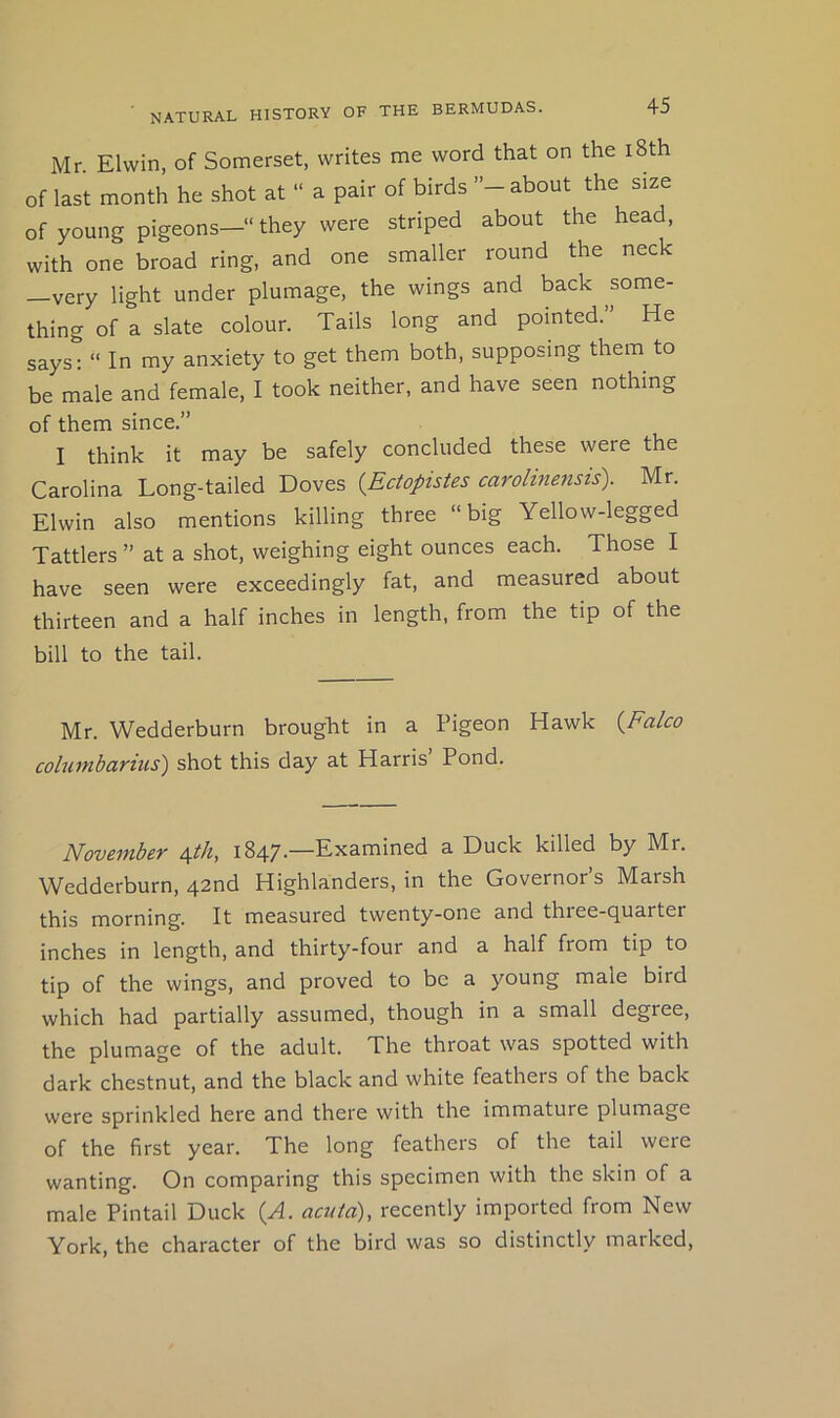 Mr. Elwin, of Somerset, writes me word that on the l8th of last month he shot at “ a pair of birds ’’-about the size of young pigeons— they were striped about the head, with one broad ring, and one smaller round the neck —very light under plumage, the wings and back ^some- thing of a slate colour. Tails long and pointed.” He says;  In my anxiety to get them both, supposing them to be male and female, I took neither, and have seen nothing of them since.” I think it may be safely concluded these were the Carolina Long-tailed Doves {Ectopistes carolimnsis). Mr. Elwin also mentions killing three “big Yellow-legged Tattlers ” at a shot, weighing eight ounces each. Those I have seen were exceedingly fat, and measured about thirteen and a half inches in length, from the tip of the bill to the tail. Mr. Wedderburn brought in a Pigeon Hawk {Falco cohiinbarius') shot this day at Harris Pond. November ^th, 1847.—Examined a Duck killed by Mr. Wedderburn, 42nd Highlanders, in the Governor’s Marsh this morning. It measured twenty-one and three-quarter inches in length, and thirty-four and a half from tip to tip of the wings, and proved to be a young male bird which had partially assumed, though in a small degree, the plumage of the adult. The throat was spotted with dark chestnut, and the black and white feathers of the back were sprinkled here and there with the immature plumage of the first year. The long feathers of the tail were wanting. On comparing this specimen with the skin of a male Pintail Duck {A. acuta), recently imported from New York, the character of the bird was so distinctly marked.