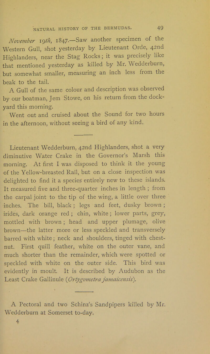 November i^th, i847-—Saw another specimen of the Western Gull, shot yesterday by Lieutenant Orde, 42nd Highlanders, near the Stag Rocks; it was precisely like that mentioned yesterday as killed by Mr. Wedderburn, but somewhat smaller, measuring an inch less from the beak to the tail. A Gull of the same colour and description was observed by our boatman, Jem Stowe, on his return from the dock- yard this morning. Went out and cruised about the Sound for two hours in the afternoon, without seeing a bird of any kind. Lieutenant Wedderburn, 42nd Highlanders, shot a very diminutive Water Crake in the Governor’s Marsh this morning. At first I was disposed to think it the young of the Yellow-breasted Rail, but on a close inspection was delighted to find it a species entirely new to these islands. It measured five and three-quarter inches in length ; from the carpal joint to the tip of the wing, a little over three inches. The bill, black ; legs and feet, dusky brown ; irides, dark orange red ; chin, white ; lower parts, grey, mottled with brown ; head and upper plumage, olive brown—the latter more or less speckled and transversely barred with white; neck and shoulders, tinged with chest- nut. First quill feather, white on the outer vane, and much shorter than the remainder, which were spotted or speckled with white on the outer side. This bird was evidently in moult. It is described by Audubon as the Least Crake Gallinule {OrtygomeU-a jamaicensis). A Pectoral and two Schinz’s Sandpipers killed by Mr. Wedderburn at Somerset to-day. 4