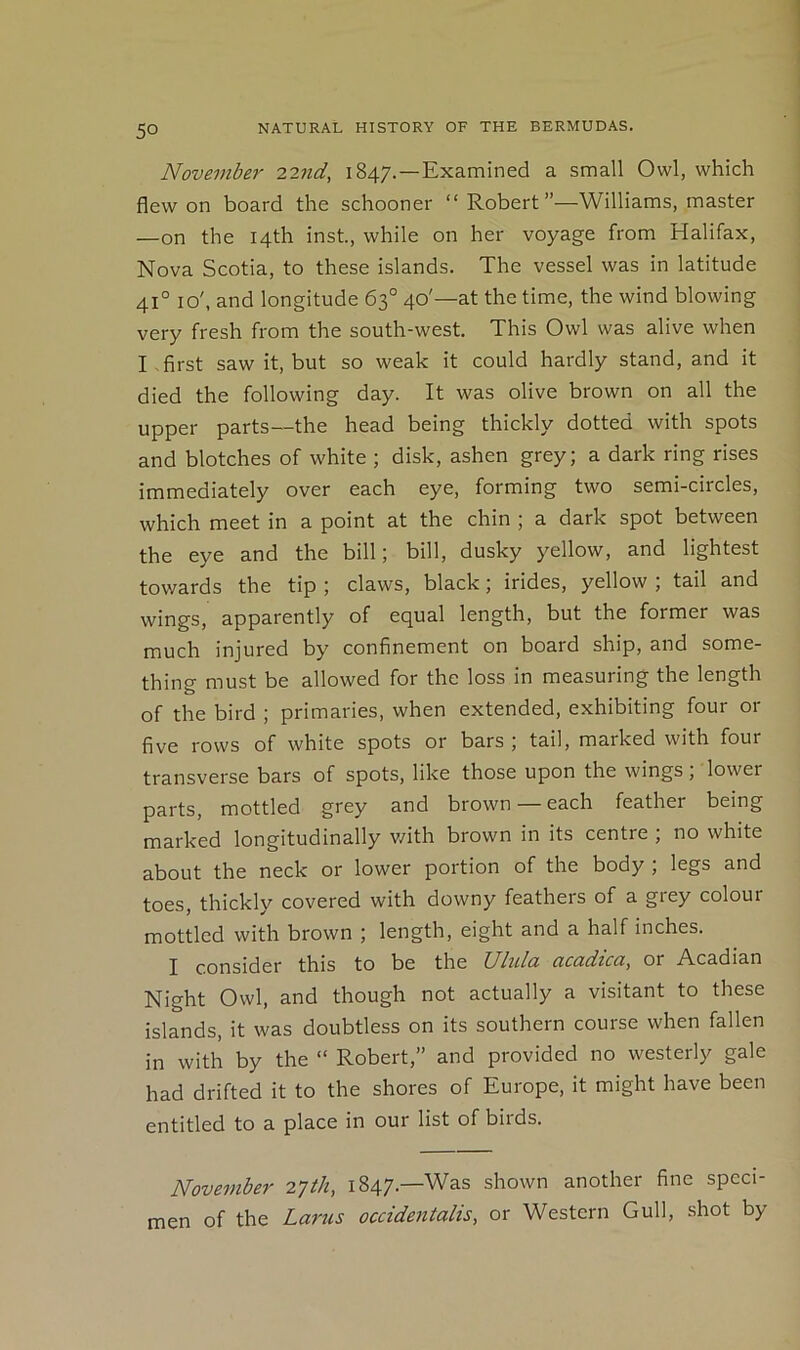 November 2ind, 1847.—Examined a small Owl, which flew on board the schooner “ Robert’’—Williams, master —on the 14th inst, while on her voyage from Halifax, Nova Scotia, to these islands. The vessel was in latitude 41° 10', and longitude 63° 40'—at the time, the wind blowing very fresh from the south-west. This Owl was alive when I first saw it, but so weak it could hardly stand, and it died the following day. It was olive brown on all the upper parts—the head being thickly dotted with spots and blotches of white ; disk, ashen grey; a dark ring rises immediately over each eye, forming two semi-circles, which meet in a point at the chin ; a dark spot between the eye and the bill; bill, dusky yellow, and lightest towards the tip ; claws, black; irides, yellow , tail and wings, apparently of equal length, but the former was much injured by confinement on board ship, and some- thing must be allowed for the loss in measuring the length of the bird ; primaries, when extended, exhibiting four or five rows of white spots or bars ; tail, marked with four transverse bars of spots, like those upon the wings; lower parts, mottled grey and brown — each feather being marked longitudinally v/ith brown in its centre ; no white about the neck or lower portion of the body ; legs and toes, thickly covered with downy feathers of a grey colour mottled with brown ; length, eight and a half inches. I consider this to be the Ulttla ctcccdiccty or Acadian Night Owl, and though not actually a visitant to these islands, it was doubtless on its southern course when fallen in with by the “ Robert,” and provided no westerly gale had drifted it to the shores of Europe, it might have been entitled to a place in our list of birds. November 2Tth, 1847.—Was shown another fine speci- men of the Larus occidentalis, or Western Gull, shot by