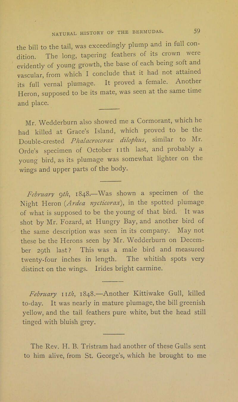 the bill to the tail, was exceedingly plump and in full con- dition. The long, tapering feathers of its crown were evidently of young growth, the base of each being soft and vascular, from which I conclude that it had not attained its full vernal plumage. It proved a female. Another Heron, supposed to be its mate, was seen at the same time and place. Mr. Wedderburn also showed me a Cormorant, which he had killed at Grace’s Island, which proved to be the Double-crested PhcLlacvocovax dtlophus, similar to Mr. Orde’s specimen of October iith last, and probably a young bird, as its plumage was somewhat lighter on the wings and upper parts of the body. February <^th, 1848;—Was shown a specimen of the Night Heron {Ardea nycticorax), in the spotted plumage of what is supposed to be the young of that bird. It was shot by Mr. Fozard, at Hungry Bay, and another bird of the same description was seen in its company. May not these be the Herons seen by Mr. Wedderburn on Decem- ber 29th last? This was a male bird and measured twenty-four inches in length. The whitish spots very distinct on the wings. Irides bright carmine. February wth, 1848.—Another Kittiwake Gull, killed to-day. It was nearly in mature plumage, the bill greenish yellow, and the tail feathers pure white, but the head still tinged with bluish grey. The Rev. H. B. Tristram had another of these Gulls sent to him alive, from St. George’s, which he brought to me