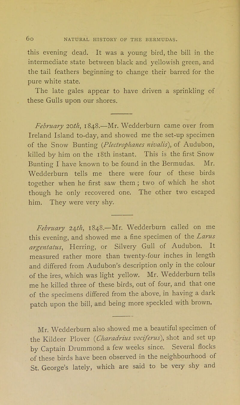 this evening dead. It was a young bird, the bill in the intermediate state between black and yellowish green, and the tail feathers beginning to change their barred for the pure white state. The late gales appear to have driven a sprinkling of these Gulls upon our shores. February 20ik, 1848.—Mr. Wedderburn came over from Ireland Island to-day, and showed me the set-up specimen of the Snow Bunting (Plectrophanes nivalis), of Audubon, killed by him on the l8th instant. This is the first Snow Bunting I have known to be found in the Bermudas. Mr. Wedderburn tells me there were four of these birds together when he first saw them ; two of which he shot though he only recovered one. The other two escaped him. They were very shy. February 24th, 1848.—Mr. Wedderburn called on me this evening, and showed me a fine specimen of the Lams argentatiis. Herring, or Silvery Gull of Audubon. It measured rather more than twenty-four inches in length and differed from Audubon’s description only in the colour of the ires, which was light yellow. Mr. Wedderburn tells me he killed three of these birds, out of four, and that one of the specimens differed from the above, in having a dark patch upon the bill, and being more speckled with brown. Mr. Wedderburn also showed me a beautiful specimen of the Kildeer Plover {Charadrius vociferus), shot and set up by Captain Drummond a few weeks since. Several flocks of these birds have been observed in the neighbourhood of St. George’s lately, which are said to be very shy and