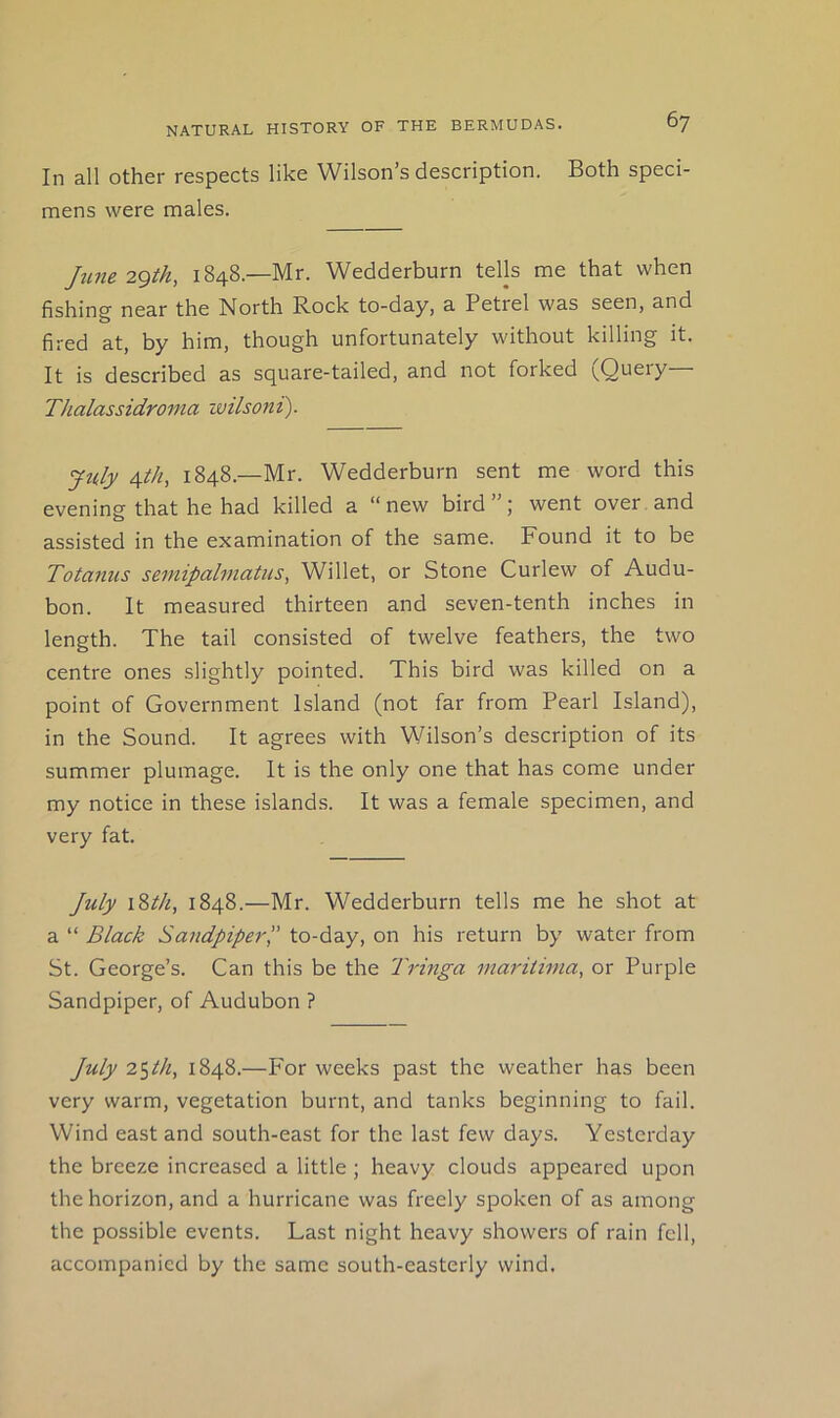 In all other respects like Wilson’s description. Both speci- mens were males. June 2gth, 1848.—Mr. Wedderburn tells me that when fishinsf near the North Rock to-day, a Petrel was seen, and fired at, by him, though unfortunately without killing it. It is described as square-tailed, and not forked (Query— Thalassidroma wilsoni). July Alh, 1848.—Mr. Wedderburn sent me word this evening that he had killed a “new bird”; went over and assisted in the examination of the same. Found it to be Totanus seinipalniatus, Willet, or Stone Curlew of Audu- bon. It measured thirteen and seven-tenth inches in length. The tail consisted of twelve feathers, the two centre ones slightly pointed. This bird was killed on a point of Government Island (not far from Pearl Island), in the Sound. It agrees with Wilson’s description of its summer plumage. It is the only one that has come under my notice in these islands. It was a female specimen, and very fat. July i2>th, 1848.—Mr. Wedderburn tells me he shot at a “ Black Sandpiper',' to-day, on his return by water from St. George’s. Can this be the Tringa marUima, or Purple Sandpiper, of Audubon ? July 2$th, 1848.—For weeks past the weather has been very warm, vegetation burnt, and tanks beginning to fail. Wind east and south-east for the last few days. Yesterday the breeze increased a little ; heavy clouds appeared upon the horizon, and a hurricane was freely spoken of as among the possible events. Last night heavy showers of rain fell, accompanied by the same south-easterly wind.