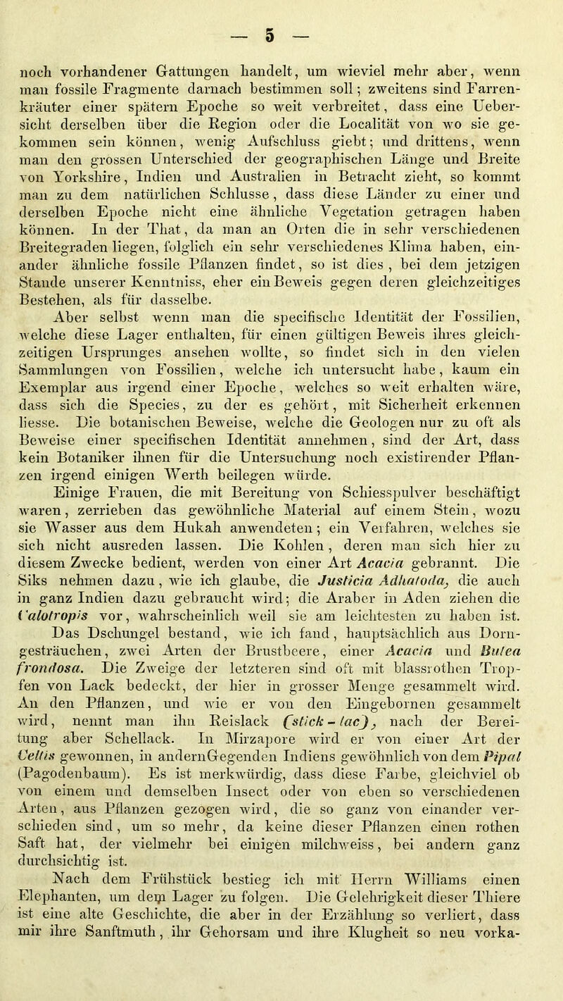 noch vorhandener Gattungen handelt, um wieviel mehr aber, wenn man fossile Fragmente darnach bestimmen soll; zweitens sind Farren- kräuter einer spätem Epoche so weit verbreitet, dass eine Ueber- siclit derselben über die Region oder die Localität von wo sie ge- kommen sein können, wenig Aufschluss giebt; und drittens, wenn man den grossen Unterschied der geographischen Länge und Breite von Yorkshire, Indien und Australien in Betracht zieht, so kommt man zu dem natürlichen Schlüsse , dass diese Länder zu einer und derselben Epoche nicht eine ähnliche Vegetation getragen haben können. In der That, da man an Orten die in sehr verschiedenen Breitegraden liegen, folglich ein sehr verschiedenes Klima haben, ein- ander ähnliche fossile Pflanzen findet, so ist dies , bei dem jetzigen Stande unserer Kenntniss, eher ein Beweis gegen deren gleichzeitiges Bestehen, als für dasselbe. Aber selbst wenn man die specifischc Identität der Fossilien, welche diese Lager enthalten, für einen gültigen Beweis ihres gleich- zeitigen Ursprunges ansehen wollte, so findet sich in den vielen Sammlungen von Fossilien, welche ich untersucht habe, kaum ein Exemplar aus irgend einer Epoche, welches so weit erhalten wäre, dass sich die Species, zu der es gehört, mit Sicherheit erkennen Hesse. Eie botanischen Beweise, welche die Geologen nur zu oft als Beweise einer specifischen Identität annehmen, sind der Art, dass kein Botaniker ihnen für die Untersuchung noch existirender Pflan- zen irgend einigen Werth beilegen würde. Einige Frauen, die mit Bereitung von Schiesspulver beschäftigt waren, zerrieben das gewöhnliche Material auf einem Stein, wozu sie Wasser aus dem Hukah anwendeten; ein Verfahren, welches sie sich nicht ausreden lassen. Die Kohlen, deren man sich hier zu diesem Zwecke bedient, werden von einer Art Acacia gebrannt. Die Siks nehmen dazu, wie ich glaube, die Justitia Ad ha to daj die auch in ganz Indien dazu gebraucht wird; die Araber in Aden ziehen die ( alotropis vor, wahrscheinlich weil sie am leichtesten zu haben ist. Das Dschungel bestand, wie ich fand, hauptsächlich aus Doru- gesträuchen, zwei Arten der Brustbeere, einer Acacia und Hinten frondosa. Die Zweige der letzteren sind oft mit blassrothen Trop- fen von Lack bedeckt, der hier in grosser Menge gesammelt wird. An den Pflanzen, und wie er von den Eingebornen gesammelt wird, nennt man ihn Reislack (stick - tacj, nach der Berei- tung aber Schellack. In Mirzapore wird er von einer Art der Celfis gewonnen, in andernGegenden Indiens gewöhnlich von dem Pipal (Pagodenbauin). Es ist merkwürdig, dass diese Farbe, gleichviel ob von einem und demselben Insect oder von eben so verschiedenen Arten, aus Pflanzen gezogen wird, die so ganz von einander ver- schieden sind, um so mehr, da keine dieser Pflanzen einen rothen Saft hat, der vielmehr bei einigen milchweiss, bei andern ganz durchsichtig ist. Nach dem Frühstück bestieg ich mit Herrn Williams einen Elephanten, um depi Lager zu folgen. Die Gelehrigkeit dieser Thiere ist eine alte Geschichte, die aber in der Erzählung so verliert, dass mir ihre Sanftmuth, ihr Gehorsam und ihre Klugheit so neu vorka-