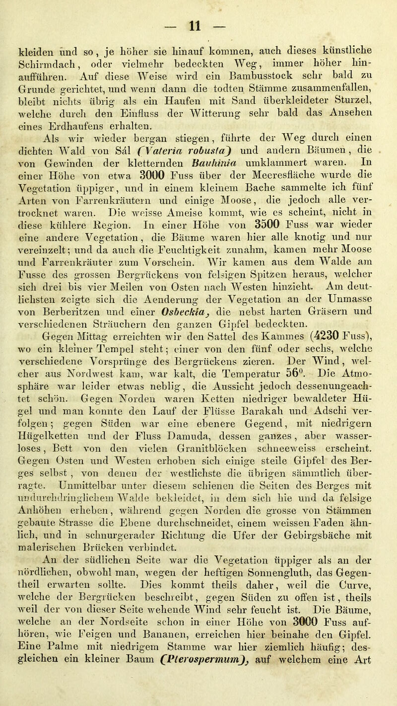 kleiden und so , je höher sie hinauf kommen, auch dieses künstliche Schirmdach, oder vielmehr bedeckten Weg, immer höher hin- aufführen. Auf diese Weise wird ein Bambusstock sehr bald zu Grunde gerichtet, und wenn dann die todten Stämme zusammenfallen, bleibt nichts übrig als ein Haufen mit Sand überkleideter Sturzei, welche durch den Einfluss der Witterung sehr bald das Ansehen eines Erdhaufens erhalten. Als wir wieder bergan stiegen, führte der Weg durch einen dichten Wald von Säl ( Valeria robusta) und andern Bäumen , die von Gewinden der kletternden Bauhinia umklammert waren. In einer Höhe von etwa 3000 Fuss über der Meeresfläche wurde die Vegetation üppiger, und in einem kleinem Bache sammelte ich fünf Arten von Farrenkräutern und einige Moose, die jedoch alle ver- trocknet waren. Die weisse Ameise kommt, wie es scheint, nicht in diese kühlere Region. In einer Höhe von 3500 Fuss war wieder eine andere Vegetation, die Bäume waren hier alle knotig und nur vereinzelt; und da auch die Feuchtigkeit zunahm, kamen mehr Moose und Farrenkräuter zum Vorschein. Wir kamen aus dem Walde am Fusse des grossen Bergrückens von felsigen Spitzen heraus, welcher sich drei bis \Tier Meilen von Osten nach Westen hinzieht. Am deut- lichsten zeigte sich die Aenderung der Vegetation an der Unmasse von Berberitzen und einer Osbeckicij die nebst harten Gräsern und verschiedenen Sträuchern den ganzen Gipfel bedeckten. Gegen Mittag erreichten wir den Sattel des Kammes (4230 Fuss), avo ein kleiner Tempel steht; einer von den fünf oder sechs, Avelehe verschiedene Vorsprünge des Bergrückens zieren. Der Wind, Avel- cher aus Kordwest kam, Avar kalt, die Temperatur 56°. Die Atmo- sphäre war leider etwas neblig, die Aussicht jedoch dessenungeach- tet schön. Gegen Korden Avaren Ketten niedriger bewaldeter Hü- gel und man konnte den Lauf der Flüsse Barakali und Adschi ver- folgen; gegen Süden war eine ebenere Gegend, mit niedrigem Hügelketten und der Fluss Damuda, dessen ganzes, aber wasser- loses, Bett von den vielen Granitblöcken sclineeweiss erscheint. Gegen Osten und Westen erhoben sich einige steile Gipfel des Ber- ges selbst , von denen der Avestlichste die übrigen sämmtlich über- ragte. Unmittelbar unter diesem schienen die Seiten des Berges mit undurchdringlichem Walde bekleidet, in dem sich hie und da felsige Anhöhen erheben, während gegen Korden die grosse von Stämmen gebaute Strasse die Ebene durchschneidet, einem Aveissen Faden ähn- lich, und in schnurgerader Richtung die Ufer der Gebirgsbäche mit malerischen Brücken verbindet. An der südlichen Seite war die Vegetation üppiger als an der nördlichen, obAvohl man, Avegen der heftigen Sonnenglutlr, das Gegen - theil erwarten sollte. Dies kommt theils daher, weil die Curve, Avelehe der Bergrücken beschreibt, gegen Süden zu offen ist, theils weil der von dieser Seite Avehende Wind sehr feucht ist. Die Bäume, Avelehe an der Kordseite schon in einer Höhe A7on 3000 Fuss auf- liören, wie Feigen und Bananen, erreichen hier beinahe den Gipfel. Eine Palme mit niedrigem Stamme Avar hier ziemlich häufig; des- gleichen ein kleiner Baum QPlerospermumJ} auf welchem eine Art