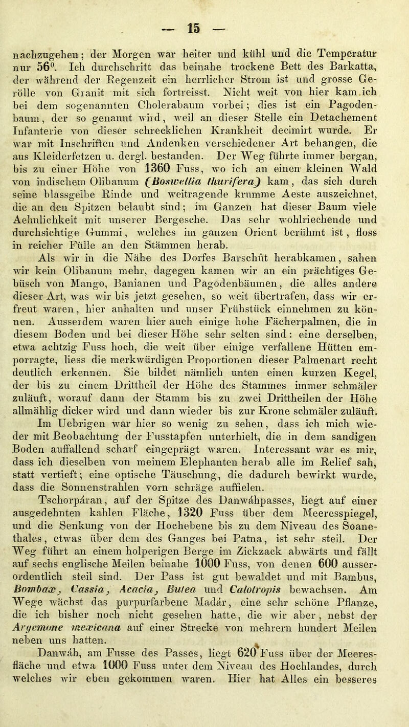 nachzugehen; der Morgen war heiter und kühl und die Temperatur nur 56°. Ich durchschritt das beinahe trockene Bett des Barkatta, der während der Regenzeit ein herrlicher Strom ist und grosse Ge- rolle von Granit mit sich fortreisst. Nicht weit von hier kam ich bei dem sogenannten Cholerabaum vorbei; dies ist ein Pagoden- baum, der so genannt wird, weil an dieser Stelle ein Detachement Infanterie von dieser schrecklichen Krankheit decimirt wurde. Er war mit Inschriften und Andenken verschiedener Art behängen, die aus Kleiderfetzen u. dergl. bestanden. Der Weg führte immer bergan, bis zu einer Höhe von 1360 Fuss, wo ich an einen kleinen Wald von indischem Olibanum QBoswellia thurif'eraj kam, das sich durch seine blassgelbe Rinde und weitragende krumme Aeste auszeichnet, die an den Spitzen belaubt sind; im Ganzen hat dieser Baum viele Aehnlichkeit mit unserer Bergesche. Das sehr wohlriechende und durchsichtige Gummi, welches im ganzen Orient berühmt ist, floss in reicher Fülle an den Stämmen herab. Als wir in die Nähe des Dorfes Barscliüt herabkamen, sahen wir kein Olibanum mehr, dagegen kamen wir an ein prächtiges Ge- büsch von Mango, Banianen und Pagodenbäumen, die alles andere dieser Art, was wir bis jetzt gesehen, so weit übertrafen, dass wir er- freut waren, hier anhalten und unser Frühstück einnehmen zu kön- nen. Ausserdem waren hier auch einige hohe Fächerpalmen, die in diesem Boden und bei dieser Höhe sehr selten sind: eine derselben, etwa achtzig Fuss hoch, die weit über einige verfallene Hütten em- porragte, liess die merkwürdigen Proportionen dieser Palmenart recht deutlich erkennen. Sie bildet nämlich unten einen kurzen Kegel, der bis zu einem Drittbeil der Höhe des Stammes immer schmäler zuläuft, worauf dann der Stamm bis zu zwei Drittheilen der Höhe allmählig dicker wird und dann wieder bis zur Krone schmäler zuläuft. Im Uebrigen war hier so wenig zu sehen, dass ich mich wie- der mit Beobachtung der Fusstapfen unterhielt, die in dem sandigen Boden auffallend scharf eingeprägt waren. Interessant war es mir, dass ich dieselben von meinem Elephanten herab alle im Relief sah, statt vertieft; eine optische Täuschung, die dadurch bewirkt wurde, dass die Sonnenstrahlen vorn schräge auffielen. Tscliorpäran, auf der Spitze des Danwähpasses, liegt auf einer ausgedehnten kahlen Fläche, 1320 Fuss über dem Meeresspiegel, und die Senkung von der Hochebene bis zu dem Niveau des Soane- thales, etwas über dem des Ganges bei Patna, ist sehr steil. Der Weg führt an einem holperigen Berge im Zickzack abwärts und fällt auf sechs englische Meilen beinahe 1000 Fuss, von denen 600 ausser- ordentlich steil sind. Der Pass ist gut bewaldet und mit Bambus, Bnmbax} CassiaAcacia, Bufea und Calotropis bewachsen. Am Wege wächst das purpurfarbene Madär, eine sehr schöne Pflanze, die ich bisher noch nicht gesehen hatte, die wir aber, nebst der Argemme mexicana auf einer Strecke von mehrern hundert Meilen neben uns hatten. Danwah, am Fusse des Passes, liegt 620 Fuss über der Meeres- fläche und etwa 1000 Fuss unter dem Niveau des Hochlandes, durch welches wir eben gekommen waren. Hier hat Alles ein besseres