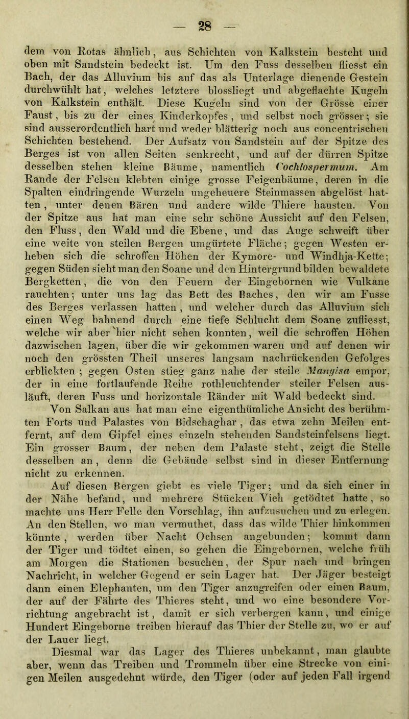 dem von Rotas ähnlich, ans Schichten von Kalkstein besteht mul oben mit Sandstein bedeckt ist. Um den Fuss desselben fliesst ein Bach, der das Alluvium bis auf das als Unterlage dienende Gestein durchwühlt hat, welches letztere blossliegt und abgeflachte Kugeln von Kalkstein enthält. Diese Kugeln sind von der Grösse einer Faust, bis zu der eines Kinderkopfes , und selbst noch grösser •, sie sind ausserordentlich hart und weder blätterig noch aus concentrischeri Schichten bestehend. Der Aufsatz von Sandstein auf der Spitze des Berges ist von allen Seiten senkrecht, und auf der dürren Spitze desselben stehen kleine Bäume, namentlich Coch/ospermum. Am Rande der Felsen klebten einige grosse Feigenbäume, deren in die Spalten eindringende Wurzeln ungeheuere Steinmassen abgelöst hat- ten , unter denen Bären und andere wilde Thiere hausten. Von der Spitze aus hat man eine sehr schöne Aussicht auf den Felsen, den Fluss, den Wald und die Ebene, und das Auge schweift über eine weite von steilen Bergen umgürtete Fläche; gegen Westen er- heben sich die schroffen Höhen der Kyrnore- und Windhja-Kette; gegen Süden sieht man den Soane und den Hintergrund bilden bewaldete Bergketten, die von den Feuern der Eingebornen wie Vulkane rauchten; unter uns lag das Bett des Baches, den wir am Fusse des Berges verlassen hatten , und welcher durch das Alluvium sich einen Weg bahnend durch eine tiefe Schlucht dem Soane zufliesst, welche wir aber hier nicht sehen konnten, weil die schroffen Höhen dazwischen lagen, über die wir gekommen waren und auf denen wir noch den grössten Theil unseres langsam nachrückenden Gefolges erblickten ; gegen Osten stieg ganz nahe der steile Matty/sa empor, der in eine fortlaufende Reihe rothleuclitender steiler Felsen aus- läuft, deren Fuss und horizontale Ränder mit Wald bedeckt sind. Von Salkan aus hat man eine eigenthümliche Ansicht des berühm- ten Forts und Palastes von Bidschaghar , das etwa zehn Meilen ent- fernt, auf dem Gipfel eines einzeln stehenden Saudsteinfelsens liegt. Ein grosser Baum, der neben dem Palaste steht, zeigt die Stelle desselben an , denn die Gebäude selbst sind in dieser Entfernung nicht zu erkennen. Auf diesen Bergen giebt es viele Tiger; und da sich einer in der Nähe befand, und mehrere Stücken Vieh getödtet hatte, so machte uns Herr Felle den Vorschlag, ihn aufzusuchen und zu erlegen. An den Stellen, wo man vermuthet, dass das wilde Thier hinkommen könnte, werden über Nacht Ochsen angebunden; kommt dann der Tiger und tödtet einen, so gehen die Eingebornen, welche früh am Morgen die Stationen besuchen, der Spur nach und bringen Nachricht, in welcher Gegend er sein Lager hat. Der Jäger besteigt dann einen Elephanten, um den Tiger anzugreifen oder einen Baum, der auf der Fährte des Thieres steht, und wo eine besondere Vor- richtung angebracht ist, damit er sich verbergen kann, und einige Hundert Eingeborne treiben hierauf das Thier der Stelle zu, wo er auf der Lauer liegt. Diesmal war das Lager des Thieres unbekannt, man glaubte aber, wenn das Treiben und Trommeln über eine Strecke von eini- gen Meilen ausgedehnt würde, den Tiger (oder auf jeden Fall irgend