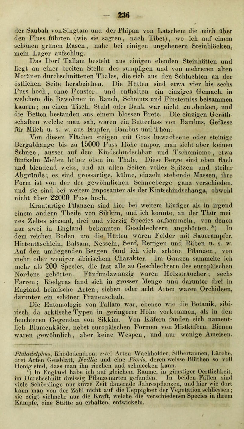 23« der Saubah vouSingtam und der Phipau von Latschem die mich über den Fluss führten (wie sie sagten, nach Tibet), wo ich auf einem schönen grünen Rasen, nahe bei einigen Ungeheuern Steinblöcken, mein Lager aufschlug. Das Dorf Tallam besteht aus einigen elenden Steinhütten und liegt an einer breiten Stelle des sumpfigen und von mehreren alten Moränen durchschnittenen Thaies, die sich aus den Schluchten an der östlichen Seite herabziehen. Die Hütten sind etwa vier bis sechs Fuss hoch, ohne Fenster, und enthalten ein einziges Gemach, in welchem die Bewohner in Rauch, Schmutz und Finsterniss beisammen kauern; an einen Tisch, Stuhl oder Bank war nicht zu.denken, und die Betten bestanden aus einem blossen Brete. Die einzigen Gerätli- schaften welche man sah, waren ein Butterfass von Bambus, Gefässe für Milch u. s. w. aus Kupfer, Bambus und Thon. Von diesen Flächen steigen mit Gras bewachsene oder steinige Bergabhänge bis zu 15000 Fuss Höhe empor, man sieht aber keinen Schnee, ausser auf dem Kindscliindsclihau und Tschomiomo , etwa fünfzehn Meilen höher oben im Thale. Diese Berge sind oben fiach und blendend weiss, und an allen Seiten voller Spitzen und steiler Abgründe; es sind grossartige, kühne, einzeln stehende Massen, ihre Form ist von der der gewöhnlichen Schneeberge ganz verschieden, und sie sind bei weitem imposanter als der Kintschindschanga, obwohl nicht über 22000 Fuss hoch. Krautartige Pflanzen sind hier bei w’eitem häufiger als in irgend einem andern Theile von Sikkim, und ich konnte, an der Thür mei nes Zeltes sitzend, drei und vierzig Species aufsammeln, von denen nur zwei in England bekannten Geschlechtern angehörten. *) In dem reichen Boden um die Hütten waren Felder mit Sauerampfer, Hirtentäsclilein, Balsam, Nesseln, Senf, Rettigen und Rüben u. s. w. Auf den umliegenden Bergen fand ich viele schöne Pflanzen, von mehr oder weniger sibirischem Charakter. Im Ganzen sammelte ich mehr als 200 Species, die fast alle zu Geschlechtern des europäischen Nordens gehörten. Fünfundzwanzig waren Ilolzsträucher ; sechs Farren; Riedgras fand sich in grosser Menge und darunter drei in England heimische Arten; sieben oder acht Arten waren Orchideen, darunter ein schöner Frauenschuh. Die Entomologie von Tallam wrar, ebenso wie die Botanik, sibi- risch, da arktische Typen in geringerer Höhe Vorkommen, als in den feuchteren Gegenden von Sikkim. Von Käfern fanden sich nament- lich Blumenkäfer, nebst europäischen Formen von Mistkäfern. Bienen wTaren gewöhnlich, aber keine Wespen, und nur wenige Ameisen. Philadelphia*. Rhododendron, zwei Arten Wachholder, Silbertannen, Lärche, drei Arten Geisblatt, Neillia und eine Pieris, deren w-eisse Blüthen so voll Honig sind, dass inan ihn riechen und schmecken kann. ) In England habe ich auf gleichem Raume, in günstiger Oertlichkeit, im Durchschnitt dreissig Pflanzenarten gefunden. In beiden Fällen sind viele Schösslinge nur kurze Zeit dauernde Jahrespflanzen, und hier wie dort kann man von der Zahl uiclit auf die Ueppigkeit der Vegetation schliessen; sie zeigt vielmehr nur die Kraft, welche die verschiedenen Species in ihrem Kampfe, eine Stätte zu erhalten, entwickeln.