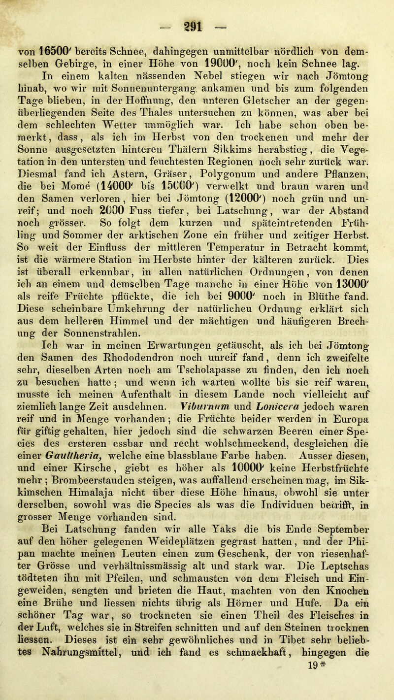 von 16500' bereits Schnee, dahingegen unmittelbar nördlich von dem- selben Gebirge, in einer Höhe von 19000', noch kein Schnee lag. In einem kalten nässenden Nebel stiegen wir nach Jömtong hinab, wo wir mit Sonnenuntergang ankamen und bis zum folgenden Tage blieben, in der Hoffnung, den unteren Gletscher an der gegen- überliegenden Seite des Thaies untersuchen zu können, was aber bei dem schlechten Wetter unmöglich war. Ich habe schon oben be- merkt, dass, als ich im Herbst von den trockenen und mehr der Sonne ausgesetzten hinteren Thälern Sikkims herabstieg, die Vege- tation in den untersten und feuchtesten Regionen noch sehr zurück war. Diesmal fand ich Astern, Gräser, Polygonum und andere Pflanzen, die bei Mome (14000' bis 15000') verwelkt und braun waren und den Samen verloren, hier bei Jömtong (12000') noch grün und un- reif ; und noch 2000 Fuss tiefer, bei Latschung, war der Abstand noch grösser. So folgt dem kurzen und späteintretenden Früh- ling und Sommer der arktischen Zone ein früher und zeitiger Herbst. So weit der Einfluss der mittleren Temperatur in Betracht kommt, ist die wärmere Station im Herbste hinter der kälteren zurück. Dies ist überall erkennbar, in allen natürlichen Ordnungen, von denen ich an einem und demselben Tage manche in einer Höhe von 13000' als reife Früchte pflückte, die ich bei 9000' noch in Blüthe fand. Diese scheinbare Umkehrung der natiirlicheu Ordnung erklärt sich aus dem helleren Himmel und der mächtigen und häufigeren Brech- ung der Sonnenstrahlen. Ich war in meinen Erwartungen getäuscht, als ich bei Jömtong den Samen des Rhododendron noch unreif fand, denn ich zweifelte sehr, dieselben Arten noch am Tscholapasse zu finden, den ich noch zu besuchen hatte ; und wenn ich warten wmllte bis sie reif waren, musste ich meinen Aufenthalt in diesem Lande noch vielleicht auf ziemlich lange Zeit ausdehnen. Viburnum, und Lonicera jedoch waren reif und in Menge vorhanden ; die Früchte beider werden in Europa für giftig gehalten, hier jedoch sind die schwarzen Beeren einer Spe- cies des ersteren essbar und recht wohlschmeckend, desgleichen die einer Gaullheria, welche eine blassblaue Farbe haben. Ausser diesen, und einer Kirsche, giebt es höher als 10000' keine Herbstfrüchte mehr ; Brombeerstauden steigen, was auffallend erscheinen mag, im Sik- kimschen Himalaja nicht über diese Höhe hinaus, obwohl sie unter derselben, sowohl was die Species als was die Individuen betrifft, in grosser Menge vorhanden sind. Bei Latschung fanden wir alle Yaks die bis Ende September auf den höher gelegenen Weideplätzen gegrast hatten, und der Phi- pan machte meinen Leuten einen zum Geschenk, der von riesenhaf- ter Grösse und verhältnissmässig alt und stark war. Die Leptschas tödteten ihn mit Pfeilen, und schmausten von dem Fleisch und Ein- geweiden, sengten und brieten die Haut, machten von den Knochen eine Brühe und Hessen nichts übrig als Hörner und Hufe. Da ein schöner Tag war, so trockneten sie einen Theil des Fleisches in der Luft, welches sie in Streifen schnitten und auf den Steinen trocknen liessen. Dieses ist ein sehr gewöhnliches und in Tibet sehr belieb- tes Nahrungsmittel, und ich fand es schmackhaft, hingegen die 19*