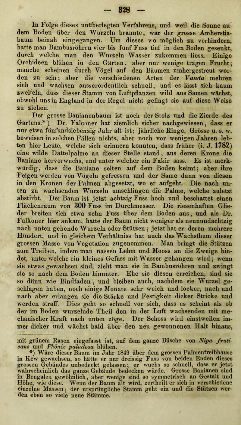 In Folge dieses unüberlegten Verfahrens, und weil die Sonne au dem Boden über den Wurzeln brannte, war der grosse Aroherstia- baum beinah eingegangen. Um dieses wo möglich zu verhindern, hatte man Bambusrohren vier bis fünf Fuss tief in den Boden gesenkt, durch welche man den Wurzeln Wasser zukommen liess. Einige Orchideen blühen in den Gärten, aber nur wenige tragen Frucht; manche scheinen durch Vögel auf den Bäumen umhergestreut wor- den zu sein; aber die verschiedenen Arten der Vanda mehren sich und wachsen ausserordentlich schnell, und es lässt sich kaum zweifeln, dass dieser Stamm von Luftpflanzen wild aus Samen wächst, obwohl uns in England in der Regel nicht gelingt sie auf diese Weise zu ziehen. Der grosse Banianenbaum ist noch der Stolz und die Zierde des Gartens.* *) Dr. Falconer hat ziemlich sicher nachgewiesen, dass er nur etwa fünfundsiebenzig Jahr alt ist; jährliche Ringe, Grösse u. s. w. beweisen in solchen Fällen nichts, aber noch vor wenigen Jahren leb- ten hier Leute, welche sich erinnern konnten, dass früher (i. J. 1782) eine wilde Dattelpalme an dieser Stelle stand, aus deren Krone die Baniane hervorwuchs, und unter welcher ein Fakir sass. Es ist merk- würdig, dass die Baniane selten auf dem Boden keimt; aber ihre Feigen werden von Vögeln gefressen und der Same dann von diesen in den Kronen der Palmen abgesetzt, wo er aufgeht. Die nach un- ten zu wachsenden Wurzeln umschlingen die Palme, welche zuletzt abstirbt. Der Baum ist jetzt achtzig Fuss hoch und beschattet einen Flächenraum von 300 Fuss im Durchmesser. Die riesenhaften Glie- der breiten sich etwa zehn Fuss über dem Boden aus, und als Dr. Falkoner hier ankam, hatte der Baum nicht weniger als neunundachtzig nach unten gehende Wurzeln oder Stützen ; jetzt hat er deren mehrere Hundert, und in gleichem Verhältniss hat auch das Wachsthum dieser grossen Masse von Vegetation zugenommen. Man bringt die Stützen zum Treiben, indem man nassen Lehm und Mooss an die Zweige bin- det, unter welche ein kleines Gefäss mit Wasser gehangen wird; wenn sie etwas gewachsen sind, zieht man sie in Bambusrohren und zwingt sie so nach dem Boden hinunter. Ehe sie diesen erreichen, sind sie so dünn wie Bindfaden , und bleiben auch, nachdem sie Wurzel ge- schlagen haben, noch einige Monate sehr weich und locker, nach und nach aber erlangen sie die Stärke und Festigkeit dicker Stricke und werden straff. Dies geht so schnell vor sich, dass es scheint als ob der im Boden wurzelnde Theil den in der Luft wachsenden mit me- chanischer Kraft nach unten zöge. Der Schoss wird einstweilen im- mer dicker uud wächst bald über den neu gewonnenen Halt hinaus, mit grünem Rasen eingefasst ist, auf dem ganze Büsche von Nipa fruti- cans und Phönix paludosa blühen. *) Wäre dieser Baum im Jahr 1849 über dem grossen Palmentreibhause in Kew gewachsen, so hätte er nur dreissig Fuss von beiden Enden dieses grossen Gebäudes unbedeckt gelassen; er wuchs so schnell, dass er jetzt wahrscheinlich das ganze Gebäude bedecken würde. Grosse Banianen sind in Bengalen gewöhnlich, aber wenige sind so symmetrisch au Gestalt und Höhe, wie diese. Wenn der Baum alt wird, zertheilt er sich in verschiedene einzelne Massen; der ursprüngliche Stamm geht ein und die Stützen wer- den eben so viele neue Stämme.