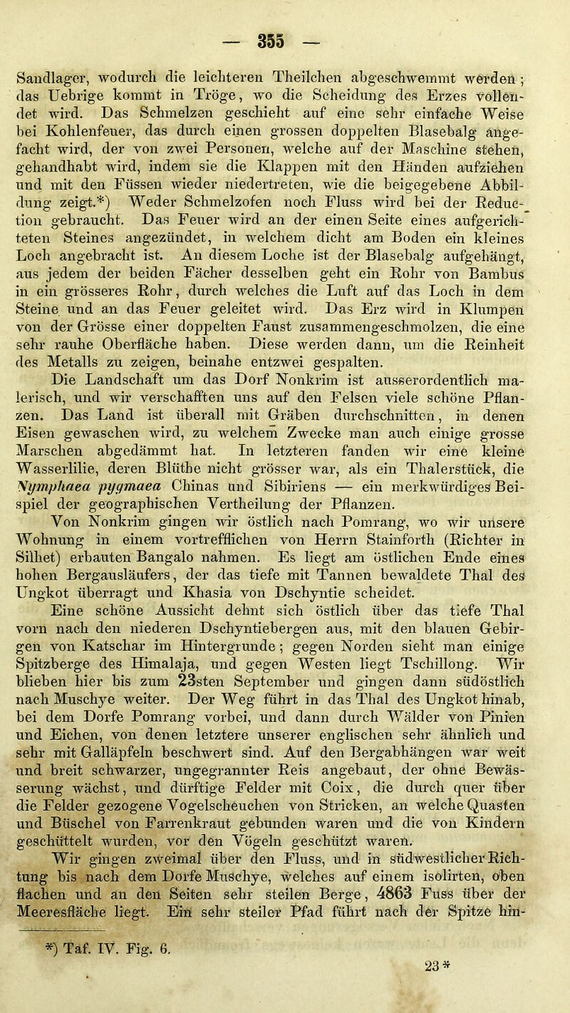 Sandlager, wodurch die leichteren Theilchen ahgesehwemmt werden ; das Uebrige kommt in Tröge, wo die Scheidung des Erzes vollen- det wird. Das Schmelzen geschieht auf eine sehr einfache Weise bei Kohlenfeuer, das durch einen grossen doppelten Blasebalg änge- facht wird, der von zwei Personen, welche auf der Maschine stehen, gehandhabt wird, indem sie die Klappen mit den Händen aufziehen und mit den Füssen wieder niedertreten, wie die beigegebene Abbil- dung zeigt.*) Weder Schmelzofen noch Fluss wird bei der Reduc- tion gebraucht. Das Feuer wird an der einen Seite eines aufgerich- teten Steines angezündet, in welchem dicht am Boden ein kleines Loch angebracht ist. An diesem Loche ist der Blasebalg aufgehängt, aus jedem der beiden Fächer desselben geht ein Rohr von Bambus in ein grösseres Rohr, durch welches die Luft auf das Loch in dem Steine und an das Feuer geleitet wird. Das Erz wird in Klumpen von der Grösse einer doppelten Faust zusammengeschmolzen, die eine sehr rauhe Oberfläche haben. Diese werden dann, um die Reinheit des Metalls zu zeigen, beinahe entzwei gespalten. Die Landschaft um das Dorf Nonkrim ist ausserordentlich ma- lerisch, imd wir verschafften uns auf den Felsen viele schöne Pflan- zen. Das Land ist überall mit Gräben durchschnitten, in denen Eisen gewaschen wird, zu welchem Zwecke man auch einige grosse Marschen abgedämmt hat. In letzteren fanden wir eine kleine Wasserlilie, deren Blütbe nicht grösser war, als ein Thalerstück, die Nymphaea pygmaea Chinas und Sibiriens — ein merkwürdiges Bei- spiel der geographischen Vertheilung der Pflanzen. Von Nonkrim gingen wir östlich nach Pomrang, wo wir unsere Wohnung in einem vortrefflichen von Herrn Stainfortli (Richter in Silliet) erbauten Bangalo nahmen. Es liegt am östlichen Ende eines hohen Bergausläufers, der das tiefe mit Tannen bewaldete Thal des Ungkot überragt und Khasia von Dschyntie scheidet. Eine schöne Aussicht dehnt sich östlich über das tiefe Thal vorn nach den niederen Dschyntiebergen aus, mit den blauen Gebir- gen von Katschar im Hintergründe; gegen Norden sieht man einige Spitzberge des Himalaja, und gegen Westen liegt Tschillong. Wir blieben hier bis zum 23sten September und gingen dann südöstlich nach Muschye weiter. Der Weg führt in das Thal des Ungkot hinab, bei dem Dorfe Pomrang vorbei, und dann durch Wälder von Pinien und Eichen, von denen letztere unserer englischen sehr ähnlich und sehr mit Galläpfeln beschwert sind. Auf den Bergabhängen war weit und breit schwarzer, ungegrannter Reis angebaut, der ohne Bewäs- serung wächst, und dürftige Felder mit Coix, die durch quer über die Felder gezogene Vogelscheuchen von Stricken, an welche Quasten und Büschel von Farrenkraut gebunden waren und die von Kindern geschüttelt wurden, vor den Vögeln geschützt waren. Wir gingen zweimal über den Fluss, und in südwestlicher Rich- tung bis nach dem Dorfe Muschye, welches auf einem isolirten, oben flachen und an den Seiten sehr steilen Berge, 4863 Fuss über der Meeresfläche liegt. Ein sehr steiler Pfad führt nach der Spitze hin- *) Taf. IV. Fig. 6. 23*