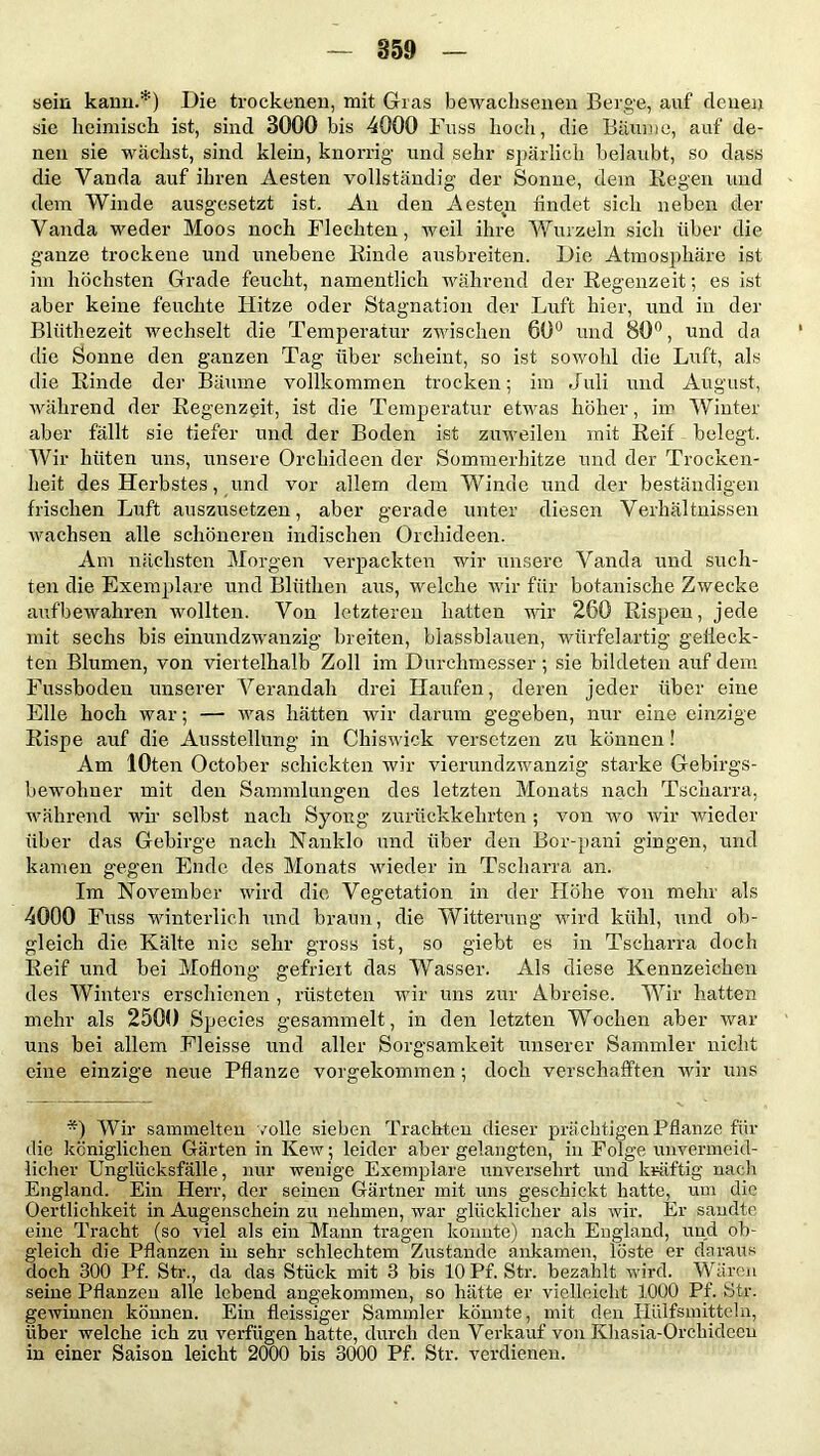 sein kann.*) Die trockenen, mit Gras bewachsenen Berge, auf denen sie heimisch ist, sind 3000 bis 4000 Fuss hoch, die Bäume, auf de- nen sie wächst, sind klein, knorrig und sehr spärlich belaubt, so dass die Vanda auf ihren Aesten vollständig der Sonne, dem Regen und dem Winde ausgesetzt ist. An den Aesten findet sich neben der Vanda weder Moos noch Flechten, weil ihre Wurzeln sich über die ganze trockene und unebene Rinde ausbreiten. Die Atmosphäre ist im höchsten Grade feucht, namentlich während der Regenzeit; es ist aber keine feuchte Hitze oder Stagnation der Luft hier, und in der Blüthezeit wechselt die Temperatur zwischen 60° und 80°, und da die Sonne den ganzen Tag über scheint, so ist sowohl die Luft, als die Rinde der Bäume vollkommen trocken; im Juli und August, während der Regenzeit, ist die Temperatur etwas höher, im Winter aber fällt sie tiefer und der Boden ist zuweilen mit Reif belegt. Wir hüten uns, unsere Orchideen der Sommerhitze und der Trocken- heit des Herbstes, und vor allem dem Winde und der beständigen frischen Luft auszusetzen, aber gerade unter diesen Verhältnissen wachsen alle schöneren indischen Orchideen. Am nächsten Morgen verpackten wir unsere Vanda und such- ten die Exemplare und Blüthen aus, welche wir für botanische Zwecke aufbewahren wollten. Von letzteren hatten wir 260 Rispen, jede mit sechs bis einundzwanzig breiten, blassblauen, würfelartig gedeck- ten Blumen, von viertelhalb Zoll im Durchmesser; sie bildeten auf dem Fussboden unserer Verandah drei Haufen, deren jeder über eine Elle hoch war; — was hätten wir darum gegeben, nur eine einzige Rispe auf die Ausstellung in Chiswick versetzen zu können! Am lOten October schickten wir vierundzwanzig starke Gebirgs- bewohner mit den Sammlungen des letzten Monats nach Tscharra, während wir selbst nach Syoug zurückkehrten ; von wo wir wieder über das Gebirge nach Nanklo und über den Bor-pani gingen, und kamen gegen Ende des Monats wieder in Tscharra an. Im November wird die Vegetation in der Höhe von mehr als 4000 Fuss winterlich und braun, die Witterung wird kühl, und ob- gleich die Kälte nie sehr gross ist, so giebt es in Tscharra doch Reif und bei Moflong gefriert das Wasser. Als diese Kennzeichen des Winters erschienen , rüsteten wir uns zur Abreise. Wir hatten mehr als 2500 Species gesammelt, in den letzten Wochen aber war uns bei allem Fleisse und aller Sorgsamkeit unserer Sammler nicht eine einzige neue Pflanze vorgekommen; doch verschafften wir uns *) Wir sammelten volle sieben Trachten dieser prächtigen Pflanze für die königlichen Gärten in Kew; leider aber gelangten, in Folge unvermeid- licher Unglücksfälle, nur wenige Exemplare unversehrt und kräftig nach England. Ein Herr, der seinen Gärtner mit uns geschickt hatte, um die Oertlichkeit in Augenschein zu nehmen, war glücklicher als wir. Er sandte eine Tracht (so viel als ein Mann tragen konnte) nach England, und ob- gleich die Pflanzen in sehr schlechtem Zustande ankamen, löste er daraus doch 300 Pf. Str., da das Stück mit 3 bis 10 Pf. Str. bezahlt wird. Wären seine Pflanzen alle lebend angekommen, so hätte er vielleicht 1000 Pf. Str. gewinnen können. Ein fleissiger Sammler könnte, mit den Hülfsmitteln, über welche ich zu verfügen hatte, durch den Verkauf von Khasia-Orchidceu in einer Saison leicht 2000 bis 3000 Pf. Str. verdienen.