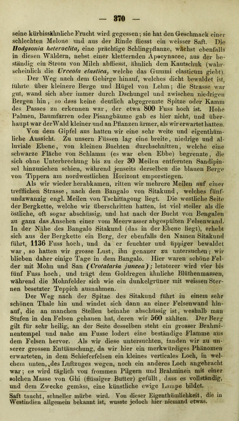 seine kürbissähnliche Frucht wird gegessen; sie hat den Geschmack einer schlechten Melone und aus der Rinde fliesst ein weisser Saft. Die Hodgsonia heteroclita, eine prächtige Schlingpflanze, wächst ebenfalls in diesen Wäldern, nebst einer kletternden Apocynaeee, aus der be- ständig ein Strom von Milch abfliesst, ähnlich dem Kautschuk (wahr- scheinlich die Urceofa elastica, welche das Gummi elasticum giebt). Der Weg nach dem Gebirge hinauf, welches dicht bewaldet ist, führte über kleinere Berge und Hügel von Lehm; die Strasse war gut, wand sich aber immer durch Dschungel und zwischen niedrigen Bergen hin , so dass keine deutlich abgegrenzte Spitze oder Kamm des Passes zu erkennen war, der etwa 800 Fuss hoch ist. Hohe Palmen, Baumfarren oder Pisangbäume gab es hier nicht, und über- haupt war derWald kleiner und an Pflanzen ärmer, als wir erwartet hatten. Von dem Gipfel aus hatten wir eine sehr weite und eigenthüm- liche Aussicht. Zu unsern Füssen lag eine breite, niedrige und al- luviale Ebene, von kleinen Buchten durchschnitten, welche eine schwarze Fläche von Schlamm (es war eben Ebbe) begrenzte, die sich ohne Unterbrechung bis zu der 30 Meilen entfernten Sandipin- sel hinzuziehen schien, während jenseits derselben die blauen Berge von Tippera am nordwestlichen Horizont emporstiegen. Als wir wieder herabkamen, ritten wir mehrere Meilen auf einer trefflichen Strasse, nach dem Bangalo von Sitakund, welches fünf- undzwanzig engl. Meilen von Tschittagong liegt. Die westliche Seite der Bergkette, welche wir überschritten hatten, ist viel steiler als die östliche, oft sogar abschüssig, und hat nach der Bucht von Bengalen zu ganz das Ansehen einer vom Meerwasser abgespülten Felsenwand. In der Nähe des Bangalo Sitakund (das in der Ebene liegt), erhebt sich aus der Bergkette ein Berg, der ebenfalls den Namen Sitakund führt, 1136 Fuss hoch, und da er feuchter und üppiger bewaldet war , so hatten wir grosse Lust, ihn genauer zu untersuchen; wir blieben daher einige Tage in dem Bangalo. Hier waren schöne Fel- der mit Mohn und San (Crotalaria juncea); letzterer wird vier bis fünf Fuss hoch, und trägt dem Goldregen ähnliche Blüthenmassen, während die Mohnfelder sich wie ein dunkelgrüner mit weissen Ster- nen besetzter Teppich ausnahmen. Der Weg nach der Spitze des Sitakund führt in einem sehr schönen Thale hin und windet sich dann an einer Felsenwand hin- auf, die an manchen Stellen beinahe abschüssig ist, weshalb man Stufen in den Felsen gehauen hat, deren wir 560 zählten. Der Berg gilt für sehr heilig, an der Seite desselben steht ein grosser Brahmi- nentempel und nahe am Fusse lodert eine beständige Flamme aus dem Felsen hervor. Als wir diese untersuchten, fanden wir zu un- serer grossen Enttäuschung, da wir hier ein merkwürdiges Phänomen erwarteten, in dem Schieferfelsen ein kleines verticales Loch, in wel- chem unten, »des Luftzuges wegen, noch ein anderes Loch angebracht war; es wird täglich von frommen Pilgern und Brahmineh mit einer solchen Masse von Ghi (flüssiger Butter) gefüllt, dass es vollständig, und dem Zwecke gemäss, eine künstliche ewige Lampe bildet. Saft taucht, schneller mürbe wird. Von dieser Eigentümlichkeit, die in Westindien allgemein bekannt ist, wusste jedoch hier niemand etwas.