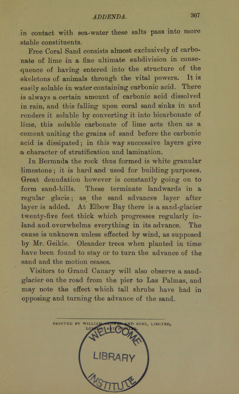 in contact with sea-water these salts pass into more stable constituents. Free Coral Sand consists almost exclusively of carbo- nate of lime in a fine ultimate subdivision in conse- quence of having entered into the structure of the skeletons of animals through the vital powers. It is easily soluble in water containing carbonic acid. There is always a certain amount of carbonic acid dissolved in rain, and this falling upon coral sand sinks in and renders it soluble by converting it into bicarbonate of lime, this soluble carbonate of lime acts then as a ■cement uniting the grains of sand before the carbonic acid is dissipated; in this way successive layers give a character of stratification and lamination. In Bermuda the rock thus formed is white granular limestone; it is hard and used for building purposes. Great denudation however is constantly going on to form sand-hills. These terminate landwards in a regular glacis; as the sand advances layer after layer is added. At Elbow Bay there is a sand-glacier twenty-five feet thick which progresses regularly in- land and overwhelms everything in its advance. The cause is unknown unless effected by wind, as supposed by Mr. Geikie. Oleander trees when planted in time have been found to stay or to turn the advance of the sand and the motion ceases. Visitors to Grand Canary will also observe a sand- glacier on the road from the pier to Las Palmas, and may note the effect which tall shrubs have had in opposing and turning the advance of the sand.