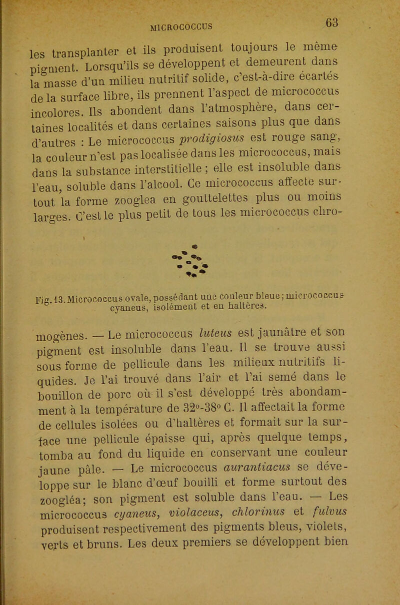 les transplanter el ils produisent toujours le meme piffnient. Lorsqu’ils se developpent et demeurent dans la masse d’un milieu nutritif solide, c’est-a-dire ecartes de la surface libre, ils prennent I’aspect de micrococcus incolores. Ils abondent dans Tatmospliere, dans cer- taines localites et dans certaines saisons plus que dans d’autres : Le micrococcus prodigiosus est rouge sang, la couleur n’est pas localisee dans les micrococcus, mais dans la substance interslilielle ; elle est insoluble dans I’eau, soluble dans I’alcool. Ce micrococcus affecte sur- tout la forme zooglea en goutlelettes plus ou moins larges. C’estle plus petit de tous les micrococcus cliro- Fi. 13.Micrococcus ovale, possfedaut uue couleur bleue; micrococcus cyaueus, isolemeut et eu haltferes. mogenes. — Le micrococcus lutoics est jaunatre et son pigment est insoluble dans I’eau. II se trouve aussi sous forme de pellicule dans les milieux nulritifs li- quides. Je I’ai trouve dans I’air et Tai seme dans le bouillon de pore oii il s’est developpe tres abondam- ment a la temperature de 32°-38° G. II affectait la forme de cellules isolees ou d’lialteres et formait sur la sur- face une pellicule epaisse qui, apres quelque temps, tomba au fond du liquide en conservant une couleur jaune pale. — Le micrococcus aurantiacus se deve- loppe sur le blanc d’oeuf bouilli et forme surtout des zoogl§a; son pigment est soluble dans I’eau. — Les micrococcus cyaneus, violaceus, chlormus et fulvus produisent respectivement des pigments bleus, violets, vej’ts et brims. Les deux premiers se developpent bien