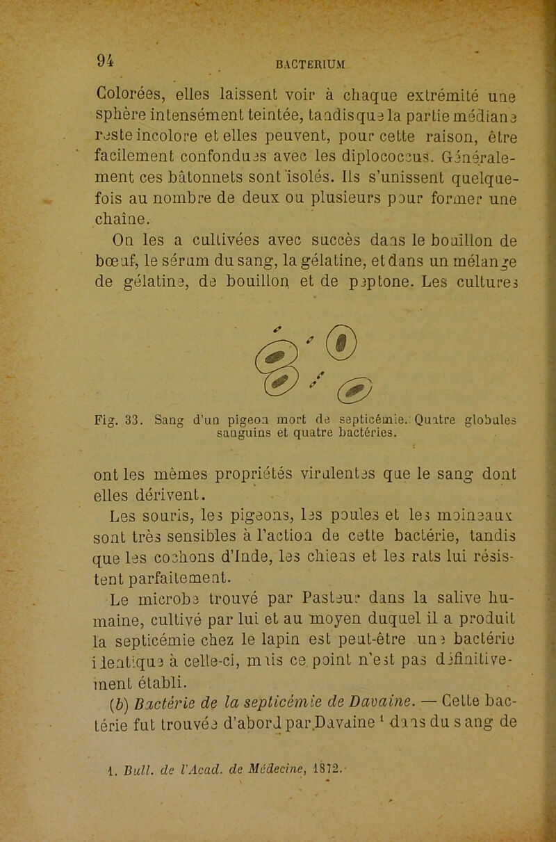 Colorees, elles laissent voir a chaqae extreinite ime sphere intensemenl teintee, taadisque la partie rtiMiane resle incolore et elles peuvent, pour celte raison, etre facileinent confondues avec les diplococcus. Ginerale- ment ces batonnets son!'isoles. Ils s’unissent quelque- fois au noinbre de deux ou plusieurs pour former une cliaiue. On les a cullivees avec succes daas le bouillon de boeuf, le serum du sang, la gelatine, etdans un melange de gelatine, de bouillon et de peptone. Les cultures Fig. 33. Sang d’un pigeon mort de septic6inie. Quatre globules sauguins et quatre bact6ries. ont les memes proprietes virulentes que le sang dont elles derivent. Les souris, les pigeons, les poules et les moineau's: sont tres sensibles a Taction de cette bacLerie, tandis que les cochons d’lnde, les cliiens et les rats lui resis- tent parfaitement. Le microbe trouve par Pasteur dans la salive liu- maine, cultive par lui et au moyen duquel il a produit la septicemie chez le lapin est peut-etre unj bacterie iientique a celle-ci, miis ce, point n’est pas difinitive- ment elabli. {b) Bacterie de la septicemie de Davaine. — Cette bac- terie fut Irouvee d’abord par Davaine ‘ dans du s ang de 1. Bull, de I'Acad. de Mddecine, 1812.-