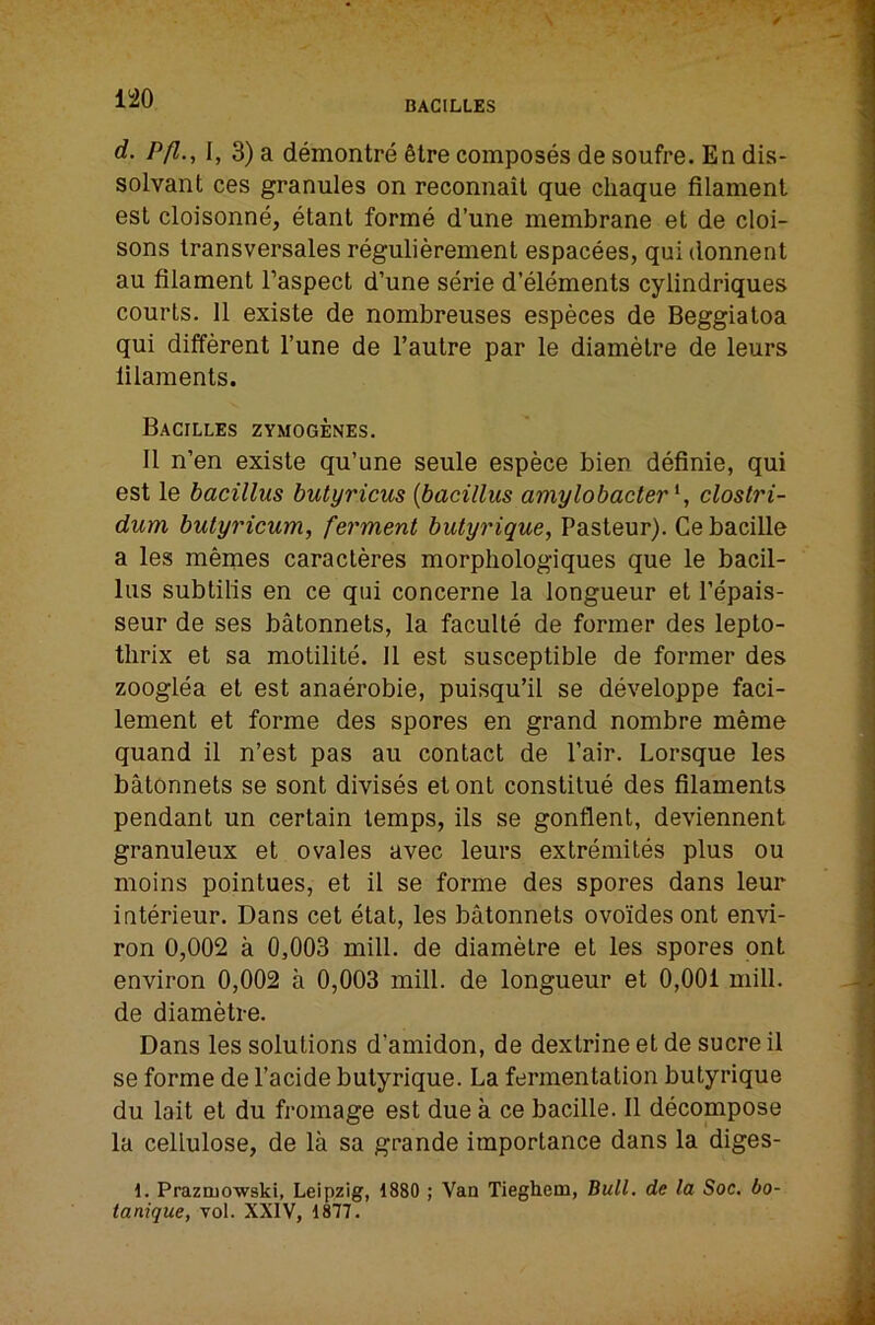 BACILLES d. Pfl., I, 3) a demontre Stre composes de soufre. En dis- solvant ces granules on reconnait que cliaque filament est cloisonne, etant forme d’une membrane et de cloi- sons Iransversales regulierement espacees, qui donnent au filament I’aspect d’une serie d’elements cylindriques courts. 11 existe de nombreuses especes de Beggiatoa qui different I’une de I’aulre par le diamelre de leurs filaments. Bacilles zymogenes, II n’en existe qu’une seule espece bien definie, qui est le bacillus butyricus {bacillus amylobacter^, clostri- dum butyricum, ferment butyrique, Pasteur). Cebacille a les memes caracteres morphologiques que le bacil- lus subtifis en ce qui concerne la longueur et I’epais- seur de ses batonnets, la faculte de former des lepto- thrix et sa motilite. 11 est susceptible de former des zooglea et est anaerobie, puisqu’il se developpe faci- lement et forme des spores en grand nombre meme quand il n’est pas au contact de Pair. Lorsque les batonnets se sent divises et ont constilue des filaments pendant un certain temps, ils se gonflent, deviennent granuleux et ovales avec leurs extremites plus ou moins pointues, et il se forme des spores dans leur interieur. Dans cet etat, les batonnets ovoides ont emd- ron 0,002 a 0,003 mill, de diametre et les spores ont environ 0,002 a 0,003 mill, de longueur et 0,001 mill, de diametre. Dans les solutions d’amidon, de dextrine et de sucre il se forme de I’acide butyrique. La fermentation butyrique du lait et du fromage est due a ce bacille. Il decompose la cellulose, de la sa grande importance dans la diges- 1. Prazruowski, Leipzig, 1880 ; Van Tieghem, Bull, de la Soc. bo- tanique, vol. XXIV, 1877.