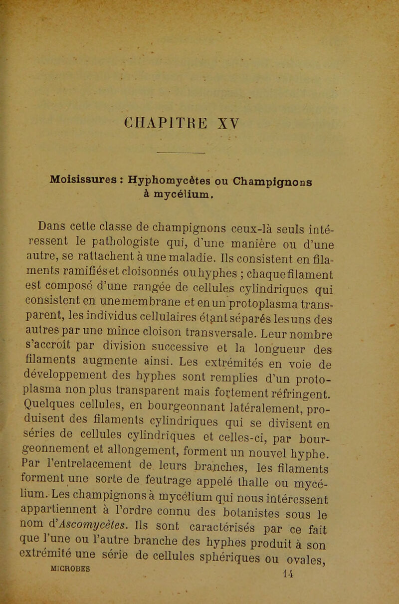 Moisissures : Hyphomyc6tes ou Champignons k mycelium. Dans cetle classe de champignons ceux-la seuls inte- ressent le pathologiste qui, dune maniere oii d’une autre, se rattachent a une maladie. Ils consistent en fila- ments ramifieset cloisonnes ouhyplies ; chaquefilament est compose d une rangee de cellules cylindriques qui consistent en une membrane et enun protoplasma trans- parent, les individus cellulaires etpntsepar^s lesuns des aulrespar une mince cloison transversale. Leurnombre s’accroit par division successive et la longueur des filaments augmenle ainsi. Les extremites en voie de developpement des hyphes sent remplies d’un proto- plasma non plus transparent mais fortement refringent. Quelques cellules, en bourgeonnant lateralement, pro- duisent des filaments cylindriques qui se divisent en series de cellules cylindriques et celles-ci, par bour- geonnement et allongement, forment un nouvel hyphe. Par Fentrelacement de leurs branches, les filaments forment une sorte de feutrage appele lhalle ou myce- lium. Les champignons a mycelium qui nous interessent appartiennent a Tordre connu des botanistes sous le nom d’Ascomycetes. 11s sent caracterises par ce fait que 1 une ou I’autre branche des hyphes produit a son extremite une serie de cellules spheriques ou ovales MICROBES , , ’