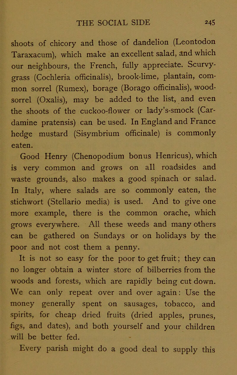 shoots of chicory and those of dandelion (Leontodon Taraxacum), which make an excellent salad, and which our neighbours, the French, fully appreciate. Scurvy- grass (Cochleria officinalis), brook-lime, plantain, com- mon sorrel (Rumex), borage (Borago officinalis), wood- sorrel (Oxalis), may be added to the list, and even the shoots of the cuckoo-flower or lady’s-smock (Car- damine pratensis) can be used. In England and France hedge mustard (Sisymbrium officinale) is commonly eaten. Good Henry (Chenopodium bonus Henricus), which is very common and grows on all roadsides and waste grounds, also makes a good spinach or salad. In Italy, where salads are so commonly eaten, the Stichwort (Stellario media) is used. And to give one more example, there is the common orache, which grows everywhere. All these weeds and many others can be gathered on Sundays or on holidays by the poor and not cost them a penny. It is not so easy for the poor to get fruit; they can no longer obtain a winter störe of bilberries from the woods and forests, which are rapidly being cut down. We can only repeat over and over again: Use the money generally spent on sausages, tobacco, and spirits, for cheap dried fruits (dried apples, prunes, iägs, and dates), and both yourself and your children will be better fed. Every parish might do a good deal to supply this