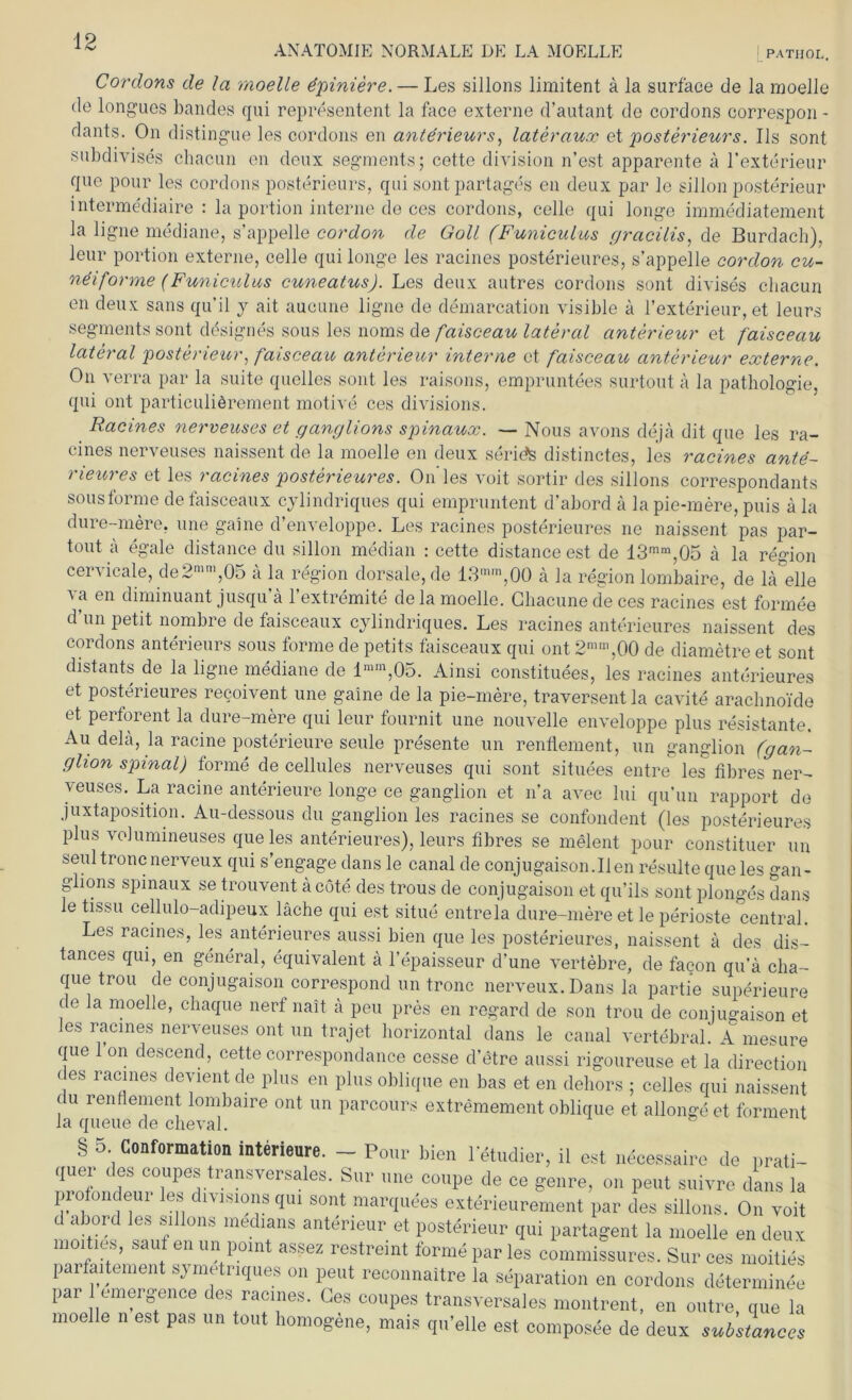 Cordons de la moelle dpiniere. — Les sillons limitent ä la surface de la moelle de longues bandes qui representent la face externe d’autant de cordons correspon- dants. On distingue les cordons en anterieurs, lateraux et posterieurs. Us sont subdivises chacun en deux Segments; cette division n’est apparente ä l’exterieur que pour les cordons posterieurs, qui sont partages en deux par le sillon posterieur mterme'diaire : la portion interne de ces cordons, celle qui longe immediatement la ligne mediane, s’appelle cordon de Goll (Funiculus gracilis, de Burdach), leur portion externe, celle qui longe les racines posterieures, s’appelle cordon cu- ndiforme (Funiculus cuneatus). Les deux autres cordons sont divises chacun en deux sans qu’il y ait aucune ligne de demarcation visible ä l’exterieur, et leurs Segments sont d£sign£s sous les noms de faisceau lateral anterieur et faisceau lateral posterieur, faisceau anterieur interne ct faisceau anterieur externe. On verra par la suite quelles sont les raisons, empruntees surtout ä la pathologie, qui ont particuliörement motive ces divisions. Racines nerveuses et ganglions spinaux. — Nous avons deja dit que les ra- cines nerveuses naissent de la moelle en deux seridS distinctes, les racines ante- rieures et les racines posterieures. On les voit sortir des sillons correspondants sousforme de faisceaux cylindriques qui empruntent d’abord ä la pie-mere, puis a la dure-mere, une gaine d’enveloppe. Les racines posterieures ne naissent pas par- tout ä egale distance du sillon median : cette distance est de 13mm,05 ä la region cervicale, de2mn,,05 a la region dorsale, de 13mm,00 ä la region lombaire, de la~elle va en diminuant jusqu’ä l’extremite de la moelle. Chacunede ces racines est fonnee d’un petit nombre de faisceaux cylindriques. Les racines anterieures naissent des cordons anterieurs sous forme de petits faisceaux qui ont 2mm,00 de diametre et sont distants de la ligne mediane de lmm,05. Ainsi constituees, les racines anterieures et posterieures recoivent une gaine de la pie-mere, traversent la cavite arachnoide et perforent la dure-mere qui leur fournit une nouvelle enveloppe plus resistante. Au delä, la racine posterieure seule presente un renflement, un ganglion (gan~ ghon spinal) forme de cellules nerveuses qui sont situees entre les fibres ner- veuses. La racine anterieure longe ce ganglion et n’a avec lui qu’un rapport de juxtaposition. Au-dessous du ganglion les racines se confondent (les posterieures plus volumineuses que les anterieures), leurs fibres se melent pour constituer un seid frone nerveux qui s’engage dans le canal de conjugaison.Ilen resulte que les gan- glions spinaux se trouvent ä cöte des trous de conjugaison et qu’ils sont plonges dans le tissu cellulo-adipeux lache qui est situe entreia dure-mere et le perioste central. Les racines, les anterieures aussi bien que les posterieures, naissent ä des dis— tances qui, en general, äquivalent a l’epaisseur d’une vertebre, de facon qu’ä cha- que fron de conjugaison correspond un tronc nerveux. Dans la partie superieure ce la moelle, chaque nerf nait ä peu pres en regarcl de son trou de conjugaison et les racines nerveuses ont un trajet horizontal dans le canal vertebral. A mesure c|ue 1 on descend, cette correspondance cesse d’<§tre aussi rigoureuse et la direction des racines devient de plus en plus oblique en bas et en dehors ; celles qui naissent c u renflement lombaire ont un parcoürs extremement oblique et allongeet forment la queue de cheval. § 5 Conformation interieure. - Pour bien laudier, il est ueeessaire de prati- quer des coupes transversales. Sur une Coupe de ee genre, on peut suirre dans la profondeur les dmsioiis qui sont marquees exterieurement par des sillons. On voit d abord les sillons medians anterieur et posterieur qui partagent la moelle en deux moities, saut en un pomt assez restreint forme par les commissures. Sur ces moities parfmtement symetriques on peut reconnaitre la Separation en cordons determinee pai 1 emergence des racines. Ges coupes transversales montrent, en outre, que la moelle n est pas un tont homogene, mais qu'elle est composee de deux subJances