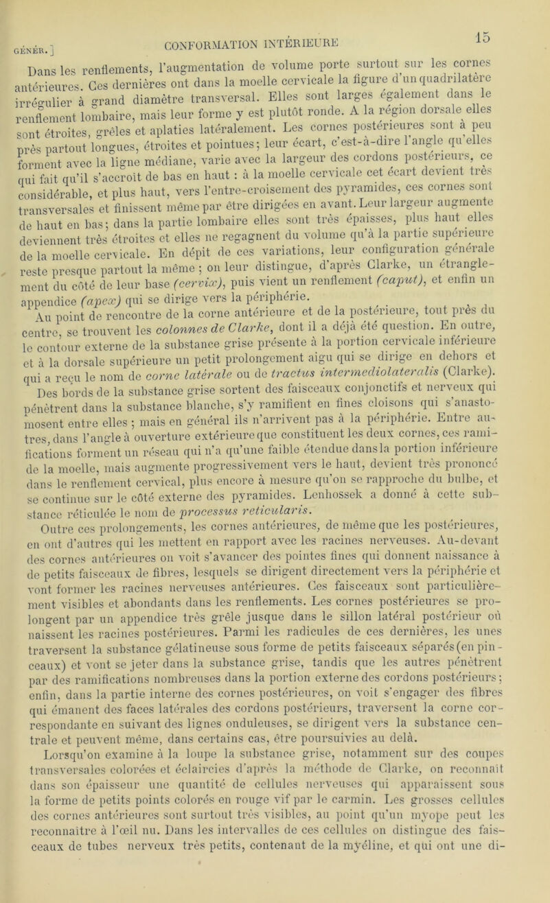 GENEU.] Dans les renflements, l’augmentation de volume porte surtout sur les cornes anterieures. Ges dernieres ont dans la moelle cervicale la figure d’unquadrilatere irregulier ä grand diametre transversal. Elles sont larges egalement dans le renflement lombaire, mais leur forme y est plutöt ronde. A la region dorsale eües sont etroites, greles et aplaties lateralement. Les cornes posterieures sont a peu nres partout longues, etroites et pointues; leur ecart, c est-a-dire 1 angle qu eile* forment avec la ligne mediane, varie avec la largeur des cordons posterieurs, ce „ui fait qu’il s’accroit de bas en haut : ä la moelle cervicale cet ecart devient tres considerable, et plus haut, vers l’entre-croisement des pyramides, ces cornes sont transversales et finissent mömepar etre dirigees en avant. Leur largeur augmente de haut en bas; dans la partie lombaire eiles sont tres epaisses, plus haut eiles deviennent tres etroites et eiles ne regagnent du volume qu’ä la partie superieure de la moelle cervicale. En depit de ces variations, leur configuration generale reste presque partout la meme ; on leur distingue, d’apres Clarke, un etrangle- ment du cote de leur base (cerviocj, puis vient un renflement (caput), et enfln un appendice (apeoc) qui se dirige vers la Peripherie. , Au point de rencontre de la corne anterieure et de la posterieure, tont pres du centre, se trouvent les colonnes de Clarke, dont il a dejä ete question. En outie, le eontour externe de la substance grise presente ä la portion cervicale inferieure et ä la dorsale superieure un petit prolongement aigu qui se dirige en dehors et qui a recu le nom de corne laterale ou de tractv,s intermediolateralis (Clarke). Des bords de la substance grise sortent des faisceaux conjonctifs et nerveux qui penetrent dans la substance blanche, s’y ramifient en fines cloisons qui s’anasto- mosent entre eiles ; mais en general ils n’arrivent pas ä la Peripherie. Entre au^ tres, dans Yangle ä ouverture exterieureque constituent les deux cornes, ces^ rann- fications formentun reseau qui n’a qu une laiDle etenduedansla portion infeiieuie de la moelle, mais augmente progressivement vers le haut, devient tres prononce dans le renflement cervical, plus encore a mesure qu’on se rapproche du bulbe, et se continue sur le cöte externe des pyramides. Lenhossek a donne ä cette sub- stance reticulee le nom de processus reticulai ts. Outre ces prolongements, les cornes anterieures, de meine que les posterieures, en ont d’autres qui les mettent en rapport avec les racines nerveuses. Au-devant des cornes anterieures on voit s’avancer des pointes tines qui donnent naissance ä de petits faisceaux de fibres, lesquels se dirigent directement vers la peripherie et vont former les racines nerveuses anterieures. Ces faisceaux sont particuliere- ment visibles et abondants dans les renflements. Les cornes posterieures sc pro- longent par un appendice tres grele jusque dans le sillon lateral posterieur oft naissent les racines posterieures. Parmi les radicules de ces dernieres, les unes traversent la substance gelatineuse sous forme de petits faisceaux separes (en pin - ceaux) et vont se jeter dans la substance grise, tandis que les autres penetrent par des ramifications nombreuses dans la portion externe des cordons posterieurs; enfln, dans la partie interne des cornes posterieures, on voit s’engager des fibres qui emancnt des faces laterales des cordons posterieurs, traversent la corne cor- respondante en suivant des lignes onduleuses, se dirigent vers la substance cen- trale et peuvent meme, dans certains cas, etre poursuivies au delä. Lorsqu’on examine a la loupe la substance grise, notamment sur des coupes transversales colorees et eclaircies d’apres la methode de Clarke, on reconnait dans son epaisseur une quantite de cellules nerveuses qui apparaissent sous la forme de petits points colores en rouge vif par le carmin. Les grosses cellules des cornes anterieures sont surtout tres visibles, au point qu’un myope peut les reconnaitre ä l’oeil nu. Dans les intervalles de ces cellules on distingue des fais- ceaux de tubes nerveux tres petits, contenant de la myeline, et qui ont une di-