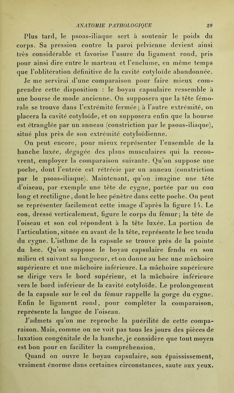 Plus tard, le psoas-iliaque sert à soutenir le poids du corps. Sa pression contre la paroi pelvienne devient ainsi très considérable et favorise l’usure du ligament rond, pris pour ainsi dire entre le marteau et l’enclume, en même temps que l’oblitération définitive de la cavité cotyloïde abandonnée. Je me servirai d’une comparaison pour faire mieux com- prendre cette disposition : le boyau capsulaire ressemble à une bourse de mode ancienne. On supposera que la tête fémo- rale se trouve dans l’extrémité fermée; à l’autre extrémité, on placera la cavité cotyloïde, et on supposera enfin que la bourse est étranglée par un anneau (constriction par le psoas-iliaque), situé plus près de son extrémité cotyloïdienne. On peut encore, pour mieux représenter l’ensemble de la hanche luxée, dégagée des plans musculaires qui la recou- vrent, employer la comparaison suivante. Qu’on suppose une poche, dont l’entrée est rétrécie par un anneau (constriction par le psoas-iliaque). Maintenant, qu’on imagine une tête d’oiseau, par exemple une tête de cygne, portée par un cou long et rectiligne , dont le bec pénètre dans cette poche. On peut se représenter facilement cette image d’après la figure 14. Le cou, dressé verticalement, figure le corps du fémur; la tète de l’oiseau et son col répondent h la tête luxée. La portion de l’articulation, située en avant de la tête, représente le bec tendu du c\Tgne. L’isthme de la capsule se trouve près de la pointe du bec. Qu’on suppose le boyau capsulaire fendu en son milieu et suivant sa longueur, et on donne au bec une mâchoire supérieure et une mâchoire inférieure. La mâchoire supérieure se dirige vers le bord supérieur, et la mâchoire inférieure vers le bord inférieur de la cavité cotyloïde. Le prolongement de la capsule sur le col du fémur rappelle la gorge du cygne. Enfin le ligament rond, pour compléter la comparaison, représente la langue de l’oiseau. J’admets qu’on me reproche la puérilité de cette compa- raison. Mais, comme on ne voit pas tous les jours des pièces de luxation congénitale de la hanche, je considère que tout moyen est bon pour en faciliter la compréhension. Quand on ouvre le boyau capsulaire, son épaississement, vraiment énorme dans certaines circonstances, saute aux yeux.