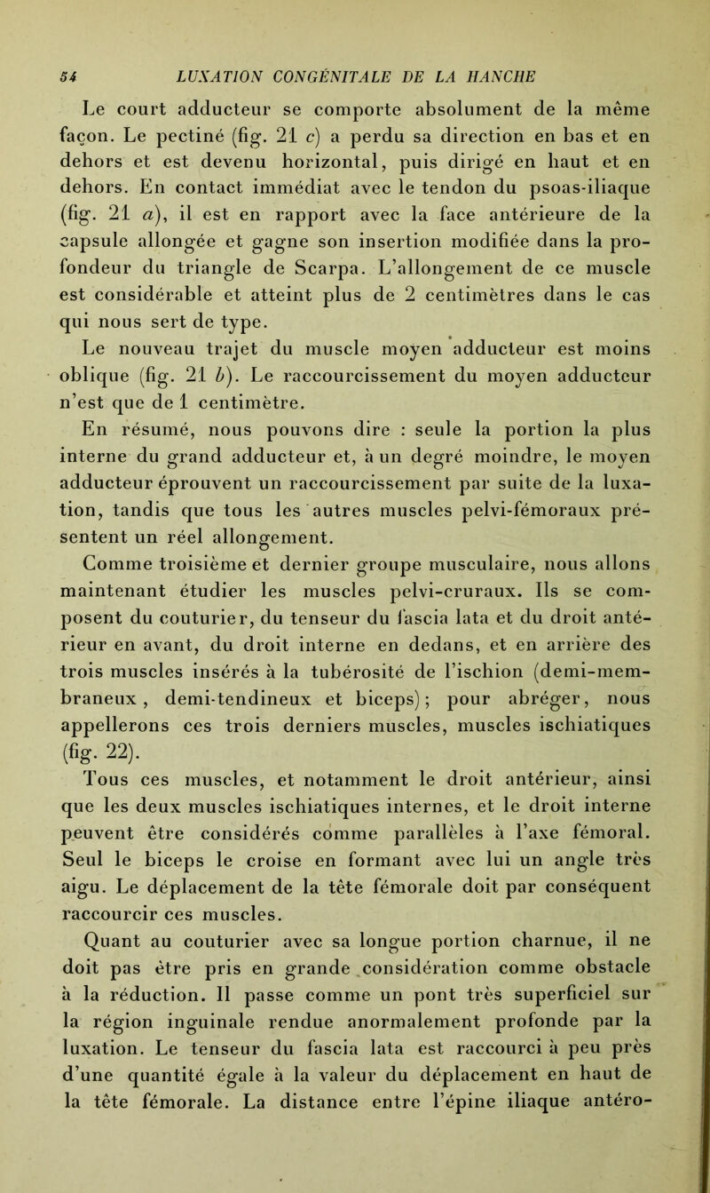Le court adducteur se comporte absolument de la même façon. Le pectiné (fig. 21 c) a perdu sa direction en bas et en dehors et est devenu horizontal, puis dirigé en haut et en dehors. En contact immédiat avec le tendon du psoas-iliaque (fig. 21 a), il est en rapport avec la face antérieure de la capsule allongée et gagne son insertion modifiée dans la pro- fondeur du triangle de Scarpa. L’allongement de ce muscle est considérable et atteint plus de 2 centimètres dans le cas qui nous sert de type. Le nouveau trajet du muscle moyen adducteur est moins oblique (fig. 21 b). Le raccourcissement du moyen adducteur n’est que de 1 centimètre. En résumé, nous pouvons dire : seule la portion la plus interne du grand adducteur et, à un degré moindre, le moyen adducteur éprouvent un raccourcissement par suite de la luxa- tion, tandis que tous les autres muscles pelvi-fémoraux pré- sentent un réel allongement. Comme troisième et dernier groupe musculaire, nous allons maintenant étudier les muscles pelvi-cruraux. Ils se com- posent du couturier, du tenseur du iascia lata et du droit anté- rieur en avant, du droit interne en dedans, et en arrière des trois muscles insérés à la tubérosité de l’ischion (demi-mem- braneux , demi-tendineux et biceps); pour abréger, nous appellerons ces trois derniers muscles, muscles ischiatiques (fig. 22). Tous ces muscles, et notamment le droit antérieur, ainsi que les deux muscles ischiatiques internes, et le droit interne peuvent être considérés comme parallèles h l’axe fémoral. Seul le biceps le croise en formant avec lui un angle très aigu. Le déplacement de la tête fémorale doit par conséquent raccourcir ces muscles. Quant au couturier avec sa longue portion charnue, il ne doit pas être pris en grande considération comme obstacle à la réduction. Il passe comme un pont très superficiel sur la région inguinale rendue anormalement profonde par la luxation. Le tenseur du fascia lata est raccourci à peu près d’une quantité égale h la valeur du déplacement en haut de la tête fémorale. La distance entre l’épine iliaque antéro-
