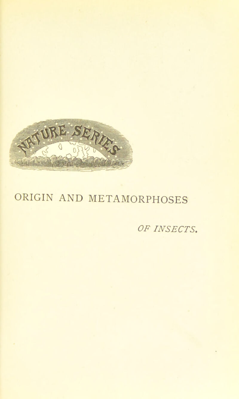 ORIGIN AND METAMORPHOSES OF INSECTS.