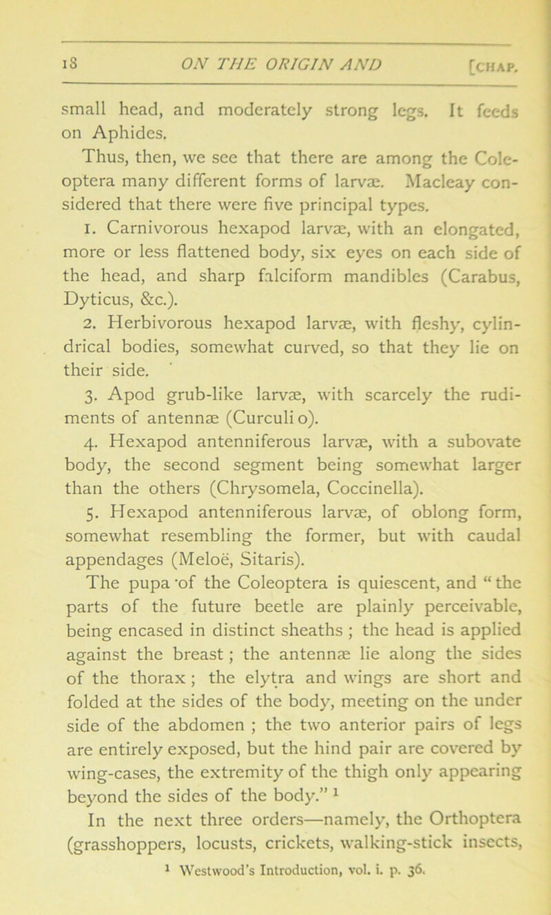 small head, and moderately strong legs. It feeds on Aphides. Thus, then, we see that there are among the Cole- optera many different forms of larvae. Macleay con- sidered that there were five principal types. 1. Carnivorous hexapod larvae, with an elongated, more or less flattened body, six eyes on each side of the head, and sharp falciform mandibles (Carabus, Dyticus, &c.). 2. Herbivorous hexapod larvae, with fleshy', cylin- drical bodies, somewhat curved, so that they lie on their side. 3. Apod grub-like larvae, with scarcely the rudi- ments of antennae (Curculi o). 4. Hexapod antenniferous larvae, with a subovate body', the second segment being somewhat larger than the others (Chrysomela, Coccinella). 5. Hexapod antenniferous larvae, of oblong form, somewhat resembling the former, but with caudal appendages (Meloe, Sitaris). The pupa 'of the Coleoptera is quiescent, and “ the parts of the future beetle are plainly perceivable, being encased in distinct sheaths ; the head is applied against the breast; the antennae lie along the sides of the thorax ; the elytra and wings are short and folded at the sides of the body', meeting on the under side of the abdomen ; the two anterior pairs of legs are entirely exposed, but the hind pair are covered by' wing-cases, the extremity of the thigh only' appearing beyond the sides of the body'.” 1 In the next three orders—namely, the Orthoptera (grasshoppers, locusts, crickets, walking-stick insects,