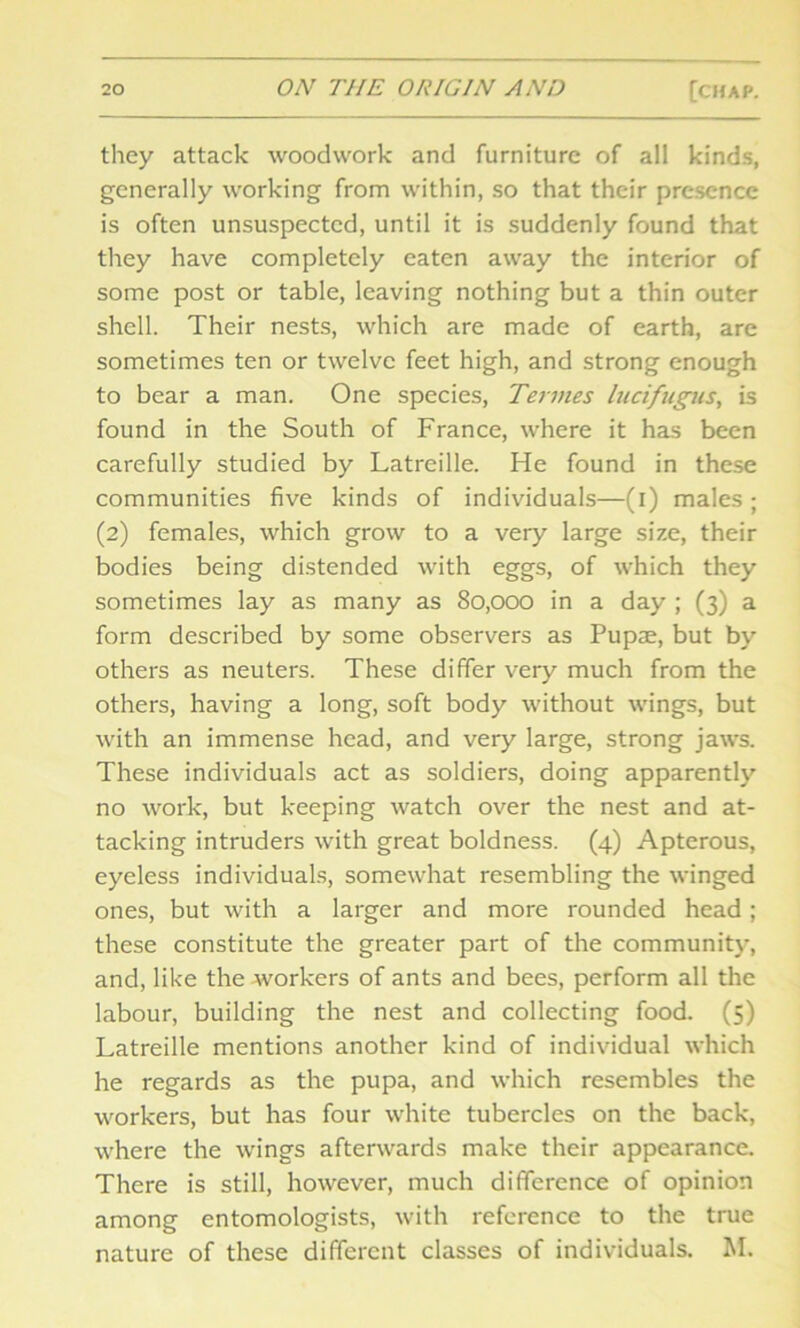 they attack woodwork and furniture of all kinds, generally working from within, so that their presence is often unsuspected, until it is suddenly found that they have completely eaten away the interior of some post or table, leaving nothing but a thin outer shell. Their nests, which are made of earth, are sometimes ten or twelve feet high, and strong enough to bear a man. One species, Terntes lucifugus, is found in the South of France, where it has been carefully studied by Latreille. He found in these communities five kinds of individuals—(i) males; (2) females, which grow to a very large size, their bodies being distended with eggs, of which they sometimes lay as many as 80,000 in a day ; (3) a form described by some observers as Pupae, but by others as neuters. These differ very much from the others, having a long, soft body without wings, but with an immense head, and very large, strong jaws. These individuals act as soldiers, doing apparently no work, but keeping watch over the nest and at- tacking intruders with great boldness. (4) Apterous, eyeless individuals, somewhat resembling the winged ones, but with a larger and more rounded head; these constitute the greater part of the community, and, like the workers of ants and bees, perform all the labour, building the nest and collecting food. (5) Latreille mentions another kind of individual which he regards as the pupa, and which resembles the workers, but has four white tubercles on the back, where the wings afterwards make their appearance. There is still, however, much difference of opinion among entomologists, with reference to the true nature of these different classes of individuals. M.