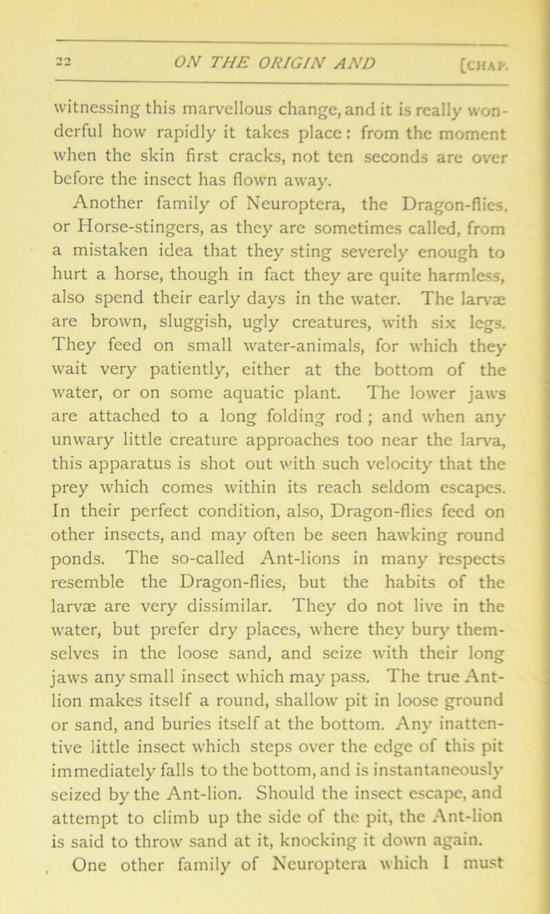 witnessing this marvellous change, and it is really won- derful how rapidly it takes place: from the moment when the skin first cracks, not ten seconds are over before the insect has flown away. Another family of Neuroptera, the Dragon-flies, or Horse-stingers, as they are sometimes called, from a mistaken idea that they sting severely enough to hurt a horse, though in fact they are quite harmless, also spend their early days in the water. The larvae are brown, sluggish, ugly creatures, with six legs. They feed on small water-animals, for which they wait very patiently, either at the bottom of the water, or on some aquatic plant. The lower jaws are attached to a long folding rod ; and when any unwary little creature approaches too near the larva, this apparatus is shot out with such velocity that the prey which comes within its reach seldom escapes. In their perfect condition, also, Dragon-flies feed on other insects, and may often be seen hawking round ponds. The so-called Ant-lions in many respects resemble the Dragon-flies, but the habits of the larvae are very dissimilar. They do not live in the water, but prefer dry places, where they bury them- selves in the loose sand, and seize with their long jaws any small insect which may pass. The true Ant- lion makes itself a round, shallow pit in loose ground or sand, and buries itself at the bottom. Any inatten- tive little insect which steps over the edge of this pit immediately falls to the bottom, and is instantaneously seized by the Ant-lion. Should the insect escape, and attempt to climb up the side of the pit, the Ant-lion is said to throw sand at it, knocking it down again. One other family of Neuroptera which I must