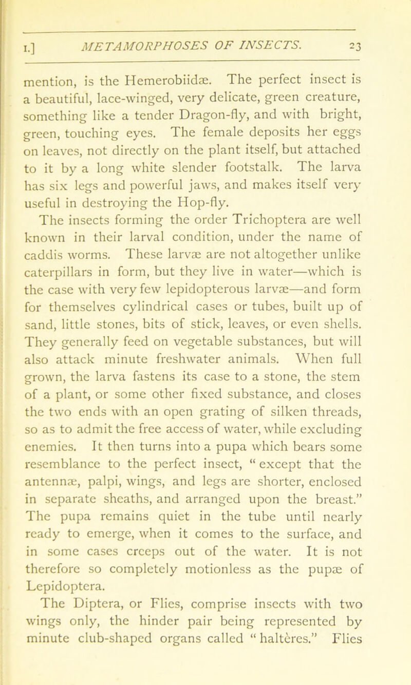 mention, is the Hemerobiidae. The perfect insect is a beautiful, lace-winged, very delicate, green creature, something like a tender Dragon-fly, and with bright, green, touching eyes. The female deposits her eggs on leaves, not directly on the plant itself, but attached to it by a long white slender footstalk. The larva has six legs and powerful jaws, and makes itself very useful in destroying the Hop-fly. The insects forming the order Trichoptera are well known in their larval condition, under the name of caddis worms. These larvae are not altogether unlike caterpillars in form, but they live in water—which is the case with very few lepidopterous larvae—and form for themselves cylindrical cases or tubes, built up of sand, little stones, bits of stick, leaves, or even shells. They generally feed on vegetable substances, but will also attack minute freshwater animals. When full grown, the larva fastens its case to a stone, the stem of a plant, or some other fixed substance, and closes the two ends with an open grating of silken threads, so as to admit the free access of water, while excluding enemies. It then turns into a pupa which bears some resemblance to the perfect insect, “ except that the antennae, palpi, wings, and legs are shorter, enclosed in separate sheaths, and arranged upon the breast.” The pupa remains quiet in the tube until nearly ready to emerge, when it comes to the surface, and in some cases creeps out of the water. It is not therefore so completely motionless as the pupae of Lepidoptera. The Diptera, or Flies, comprise insects with two wings only, the hinder pair being represented by minute club-shaped organs called “ halteres.” Flies