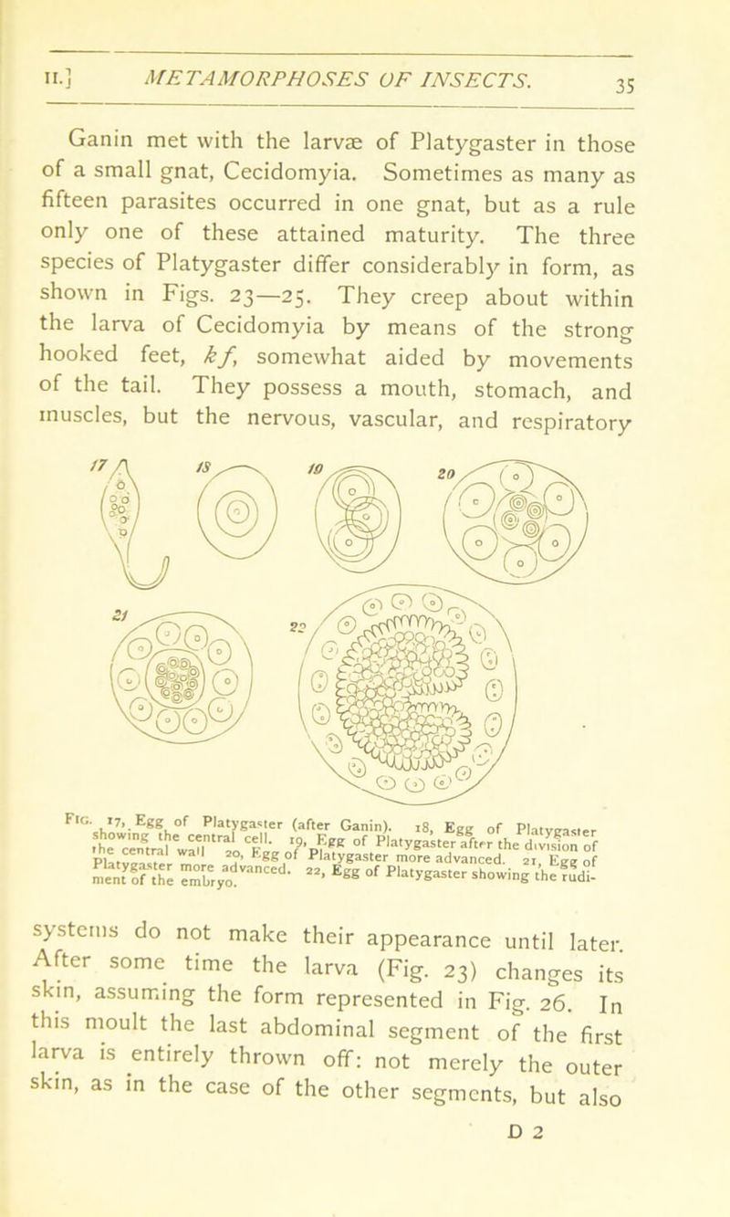 Ganin met with the larvae of Platygaster in those of a small gnat, Cecidomyia. Sometimes as many as fifteen parasites occurred in one gnat, but as a rule only one of these attained maturity. The three species of Platygaster differ considerably in form, as shown in Figs. 23—25. They creep about within the larva of Cecidomyia by means of the strong hooked feet, kf, somewhat aided by movements of the tail. They possess a mouth, stomach, and muscles, but the nervous, vascular, and respiratory F!g. *7, Egg of Platygaster (after Ganin). 18, Egg of Platvnasier .te0rnia?waUntrtCF'v °f the PIat“ ™r f'J. 2°, Egg of Platygaster more advanced. 21, Egg of ment of^he ^bryo^^’ 22' EgS °f Plat^‘or showing the rnd. systems do not make their appearance until later After some time the larva (Fig. 23) changes its skin, assuming the form represented in Fig. 26. In this moult the last abdominal segment of the first laiwa is entirely thrown off: not merely the outer skin, as in the case of the other segments, but also