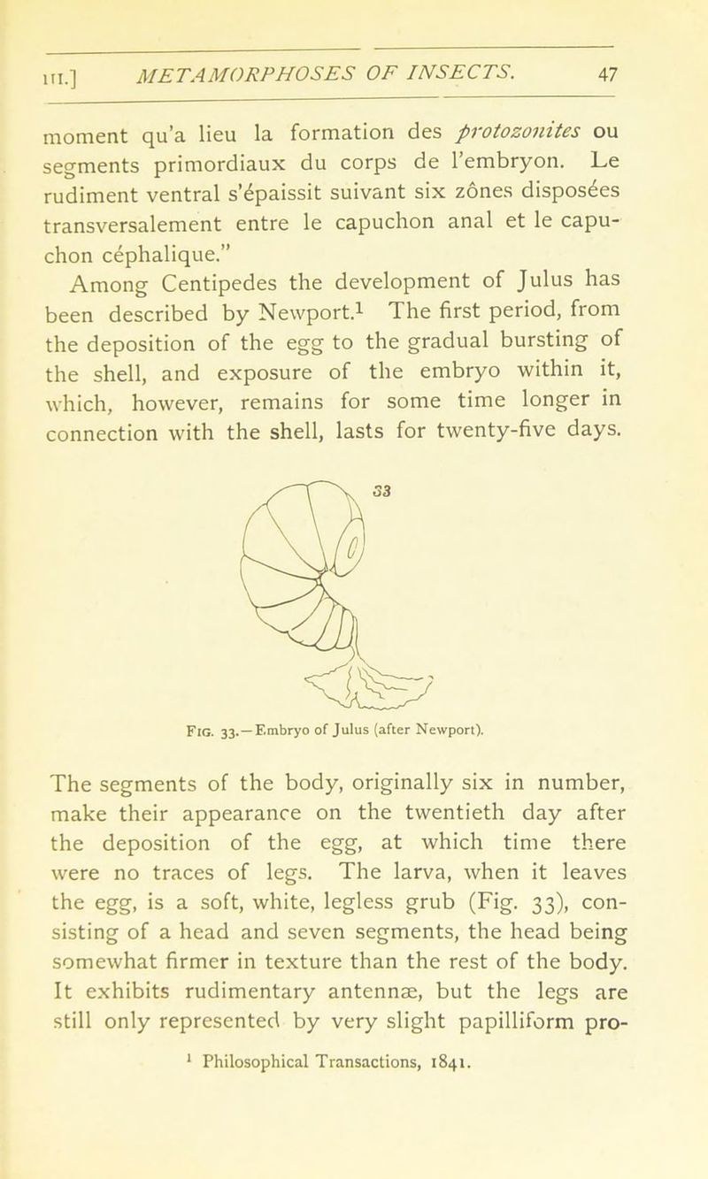 moment qua lieu la formation des protozonites ou segments primordiaux du corps de l’embryon. Le rudiment ventral s’^paissit suivant six zones disposees transversalement entre le capuchon anal et le capu- chon cephalique.” Among Centipedes the development of Julus has been described by Newport.1 The first period, from the deposition of the egg to the gradual bursting of the shell, and exposure of the embryo within it, which, however, remains for some time longer in connection with the shell, lasts for twenty-five days. The segments of the body, originally six in number, make their appearance on the twentieth day after the deposition of the egg, at which time there were no traces of legs. The larva, when it leaves the egg, is a soft, white, legless grub (Fig. 33), con- sisting of a head and seven segments, the head being somewhat firmer in texture than the rest of the body. It exhibits rudimentary antennae, but the legs are still only represented by very slight papilliform pro- Fig. 33.—Embryo of Julus (after Newport). 1 Philosophical Transactions, 1841.