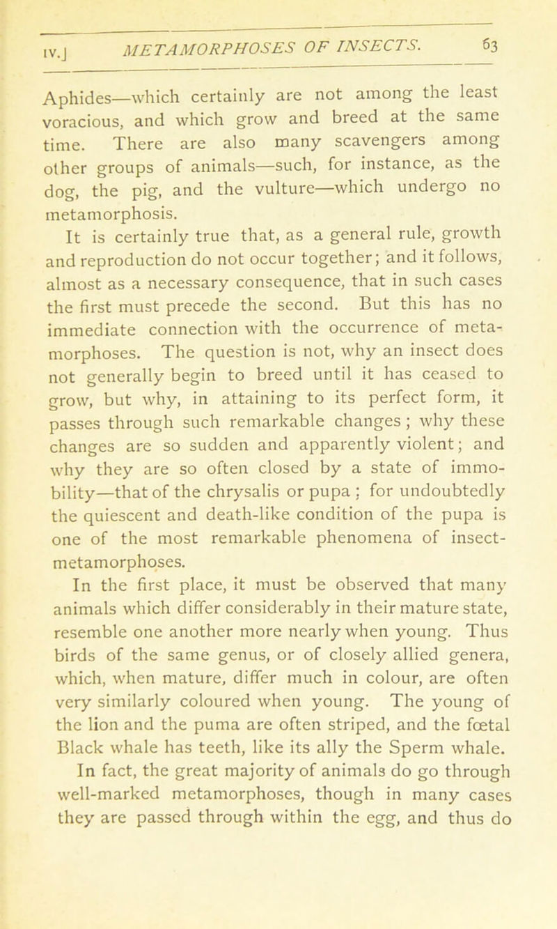 Aphides—which certainly are not among the least voracious, and which grow and breed at the same time. There are also many scavengers among other groups of animals—such, for instance, as the dog, the pig, and the vulture—which undergo no metamorphosis. It is certainly true that, as a general rule, growth and reproduction do not occur together; and it follows, almost as a necessary consequence, that in such cases the first must precede the second. But this has no immediate connection with the occurrence of meta- morphoses. The question is not, why an insect does not generally begin to breed until it has ceased to grow, but why, in attaining to its perfect form, it passes through such remarkable changes ; why these changes are so sudden and apparently violent; and why they are so often closed by a state of immo- bility—that of the chrysalis or pupa : for undoubtedly the quiescent and death-like condition of the pupa is one of the most remarkable phenomena of insect- metamorphoses. In the first place, it must be observed that many animals which differ considerably in their mature state, resemble one another more nearly when young. Thus birds of the same genus, or of closely allied genera, which, when mature, differ much in colour, are often very similarly coloured when young. The young of the lion and the puma are often striped, and the fcetal Black whale has teeth, like its ally the Sperm whale. In fact, the great majority of animals do go through well-marked metamorphoses, though in many cases they are passed through within the egg, and thus do