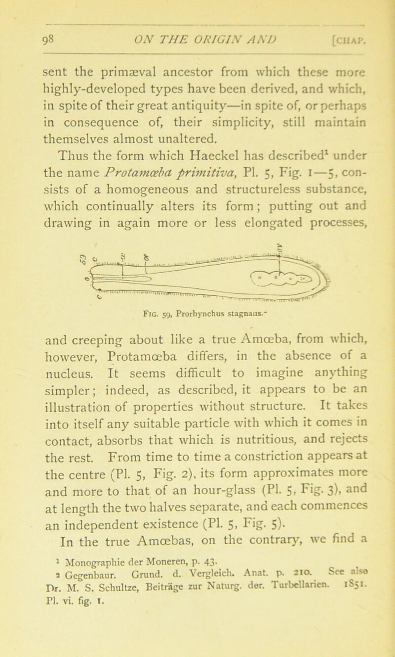 sent the primaeval ancestor from which these more highly-developed types have been derived, and which, in spite of their great antiquity—in spite of, or perhaps in consequence of, their simplicity, still maintain themselves almost unaltered. Thus the form which Haeckel has described1 under the name Protamceba primitiva, PI. 5, Fig. 1—5, con- sists of a homogeneous and structureless substance, which continually alters its form; putting out and drawing in again more or less elongated processes. and creeping about like a true Amoeba, from which, however, Protamoeba differs, in the absence of a nucleus. It seems difficult to imagine anything simpler; indeed, as described.it appears to be an illustration of properties without structure. It takes into itself any suitable particle with which it comes in contact, absorbs that which is nutritious, and rejects the rest. From time to time a constriction appears at the centre (PI. 5, Fig. 2), its form approximates more and more to that of an hour-glass (PI. 5, Fig. 3), and at length the two halves separate, and each commences an independent existence (PI. 5, Fig. 5). In the true Amcebas, on the contrary, we find a 1 Monographic der Moneren, p. 43. a Gegenbaur. Grund. d. Vergleich. Anat. p. 210. See also Dr. M. S. Schultze, Beitrage zur Naturg. der. Turbellarien. 1S51. PI. vi. fig. 1.
