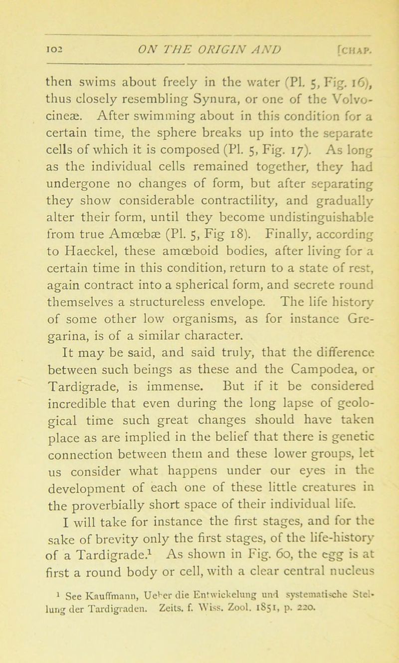 then swims about freely in the water (PI. 5, Fig. 16), thus closely resembling Synura, or one of the Volvo- cineae. After swimming about in this condition for a certain time, the sphere breaks up into the separate cells of which it is composed (PI. 5, Fig. 17). As long as the individual cells remained together, they had undergone no changes of form, but after separating they show considerable contractility, and gradually alter their form, until they become undistinguishable from true Amoebae (PL 5, Fig 18). Finally, according to Haeckel, these amoeboid bodies, after living for a certain time in this condition, return to a state of rest, again contract into a spherical form, and secrete round themselves a structureless envelope. The life history of some other low organisms, as for instance Gre- garina, is of a similar character. It may be said, and said truly, that the difference between such beings as these and the Campodea, or Tardigrade, is immense. But if it be considered incredible that even during the long lapse of geolo- gical time such great changes should have taken place as are implied in the belief that there is genetic connection between them and these lower groups, let us consider what happens under our eyes in the development of each one of these little creatures in the proverbially short space of their individual life. I will take for instance the first stages, and for the sake of brevity only the first stages, of the life-history of a Tardigrade.1 As shown in Fig. 60, the egg is at first a round body or cell, with a clear central nucleus 1 See KaufTmann, Ue>'er die Enfwickelung uud systematise Stel- lung der Tardigraden. Zeits. f. \\ iss. Zool. 1S51, p. 220.